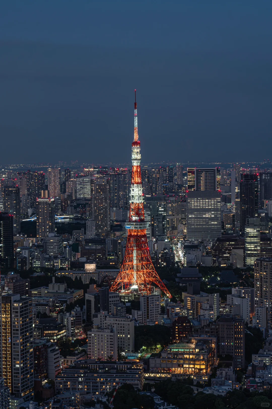 For these shots, I trekked 30,000 steps through Tokyo's rainy night! (Including camera angles)