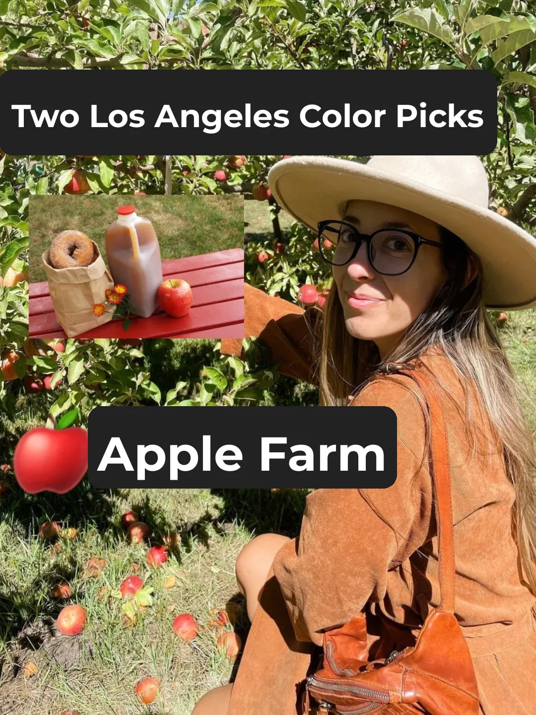 🍎 Apple Picking in LA | Top 5 Farms You Must Visit!!