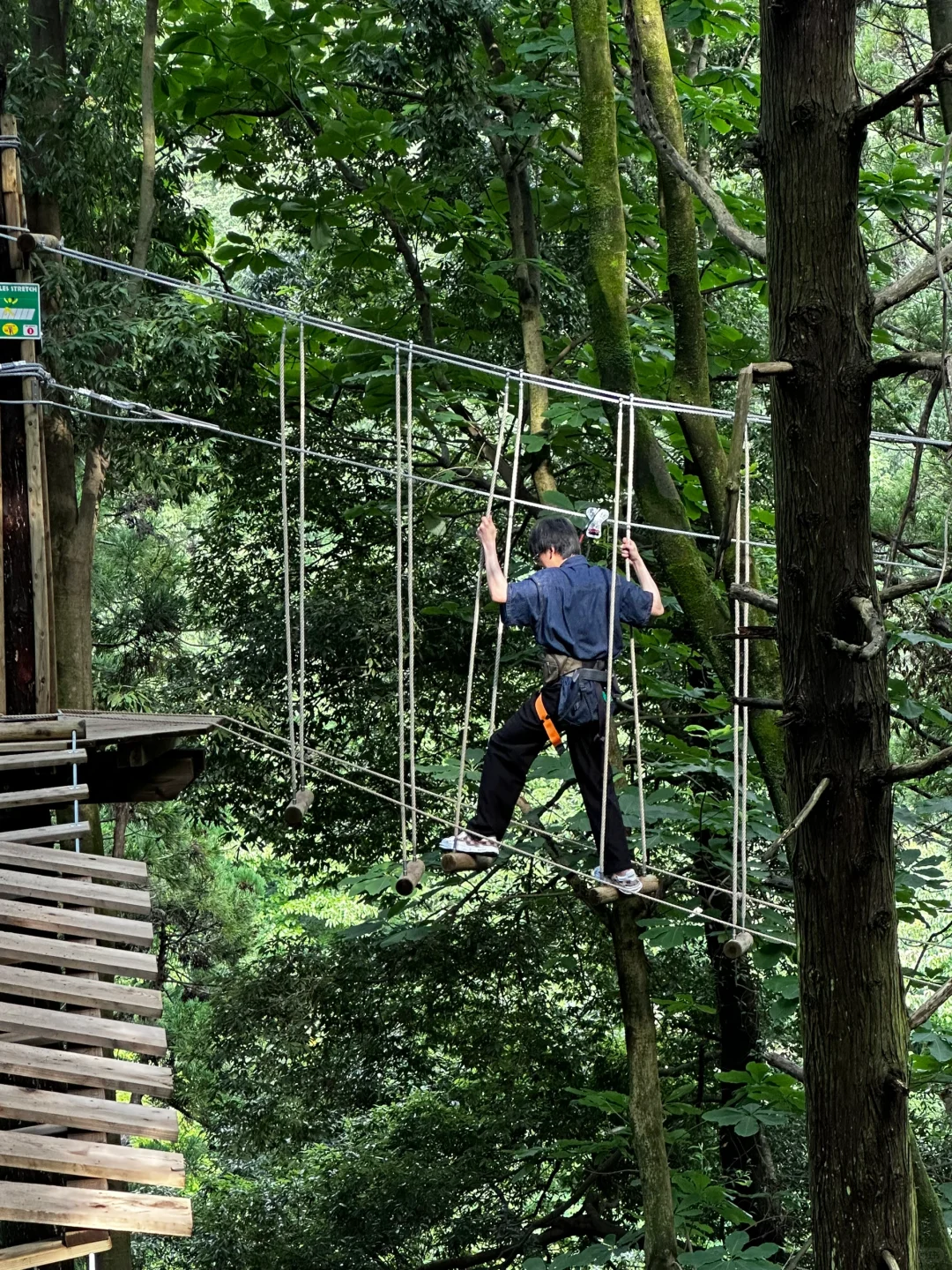 Jungle Adventures Near Tokyo