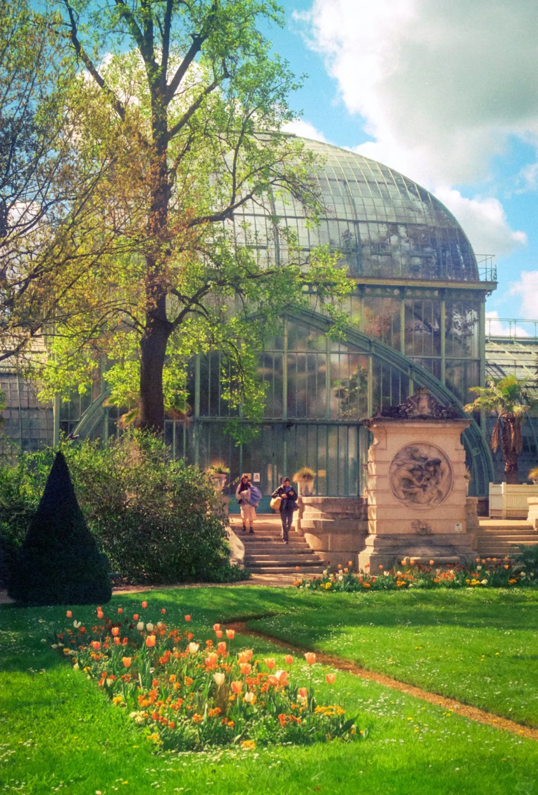 🇫🇷 Exploring the Jardin des Plantes in Paris