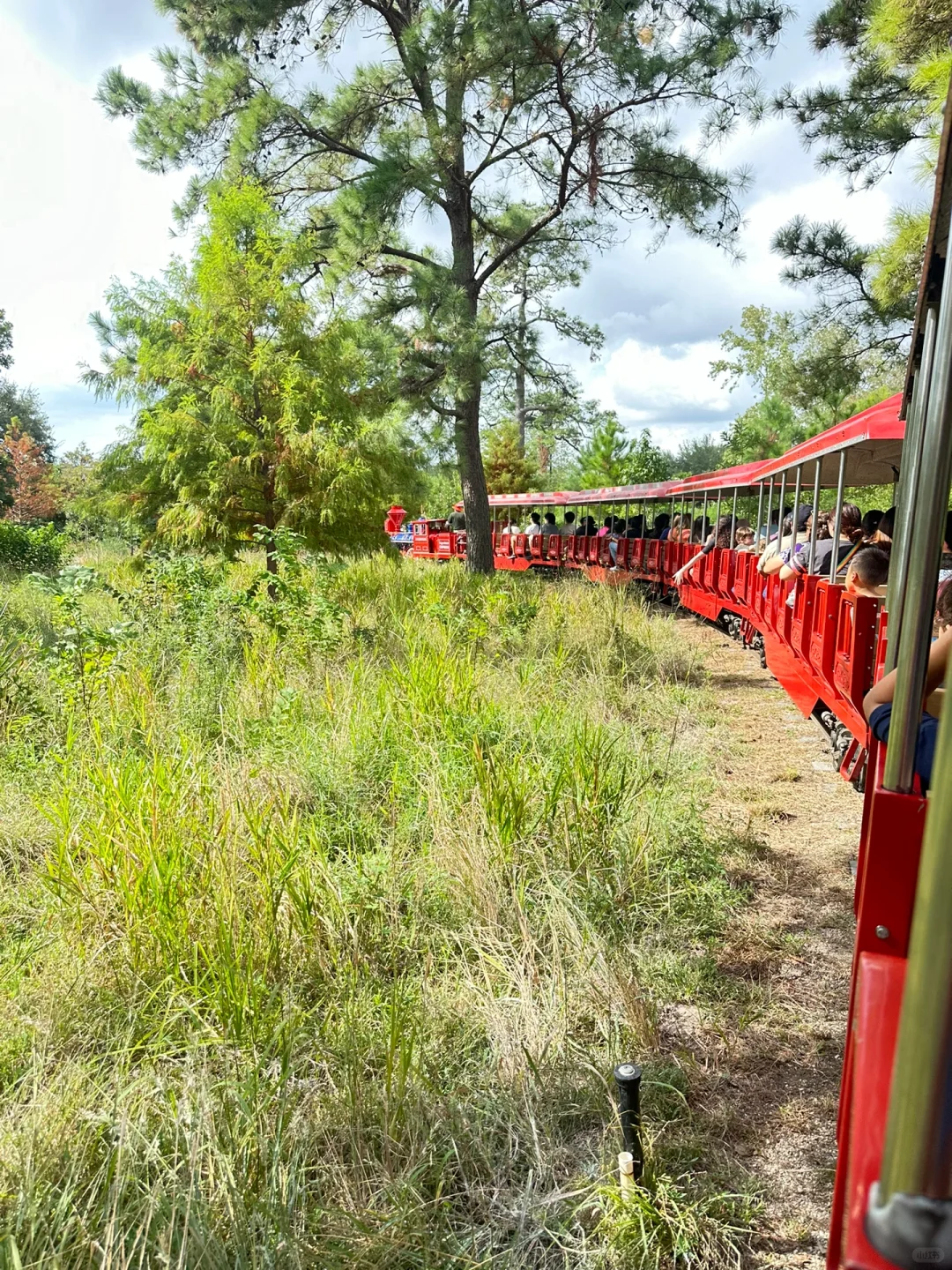 Houston's Mini Train That's Only Free for 6 Days a Year