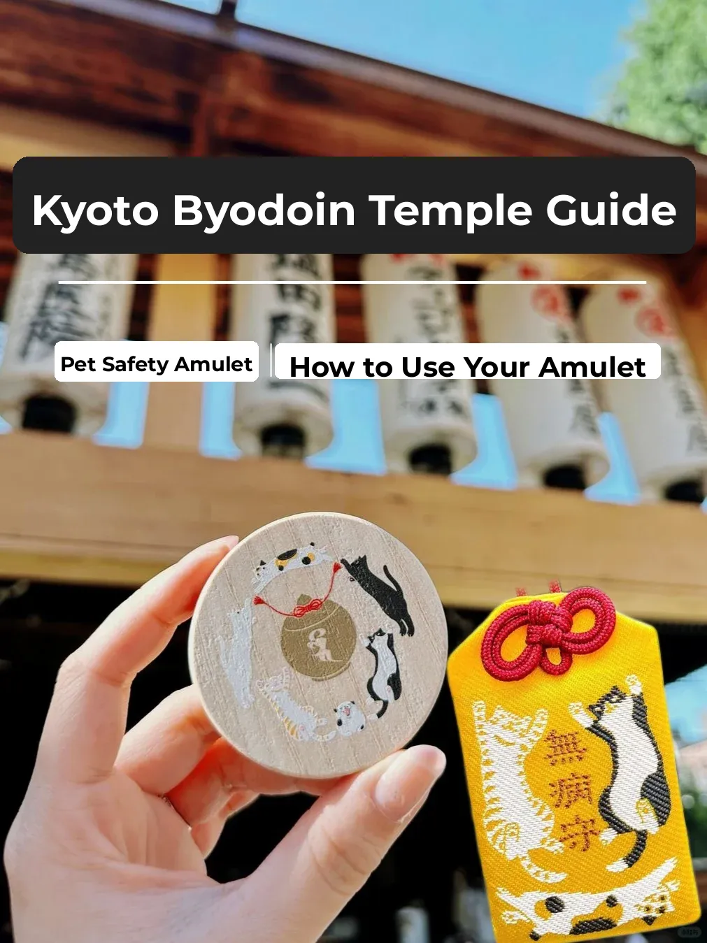 Exploring Kyoto till I can't take it anymore! Got a Heian Omamori for my fur baby ✅