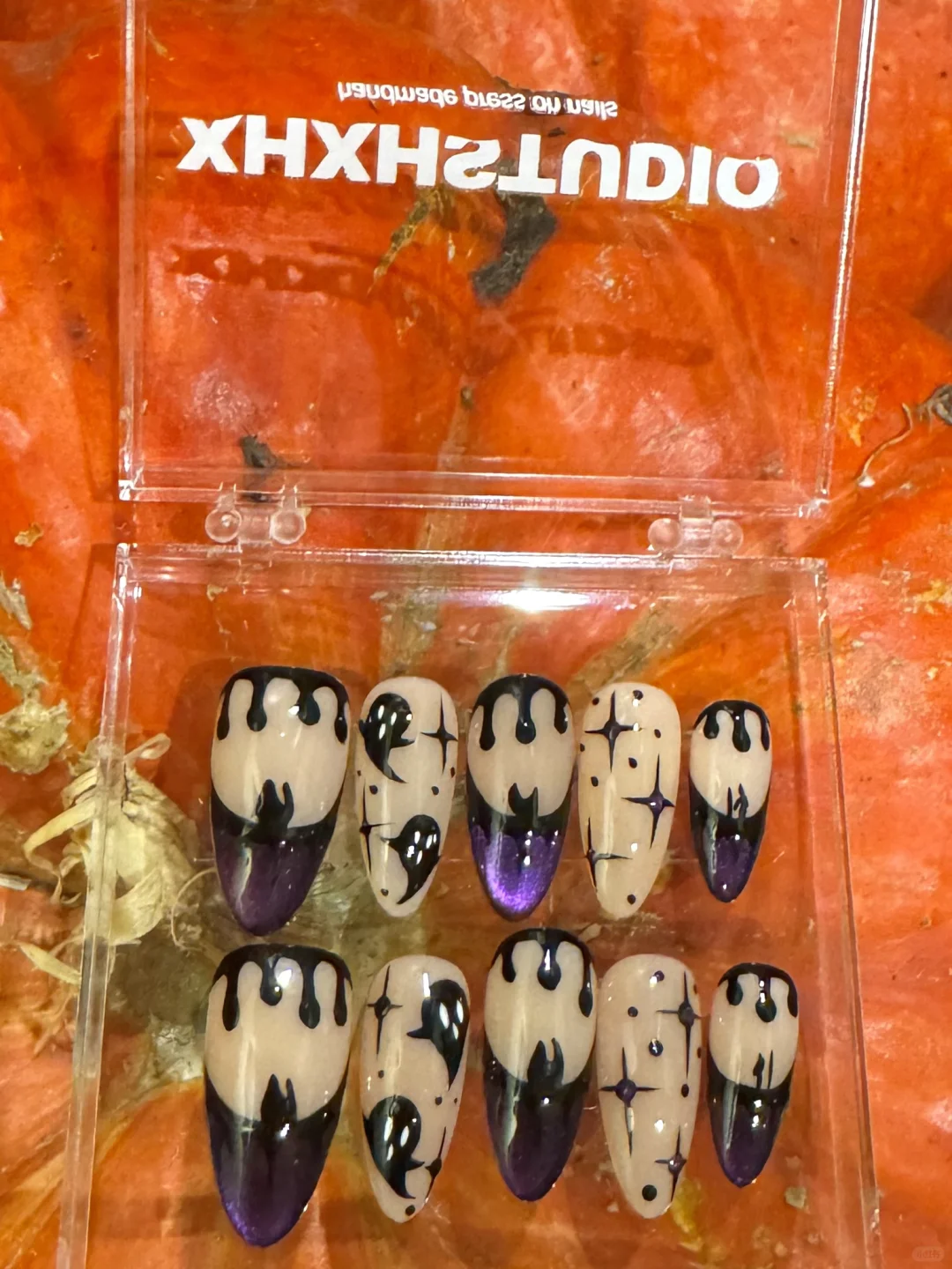 Pumpkin Series｜Halloween🎃