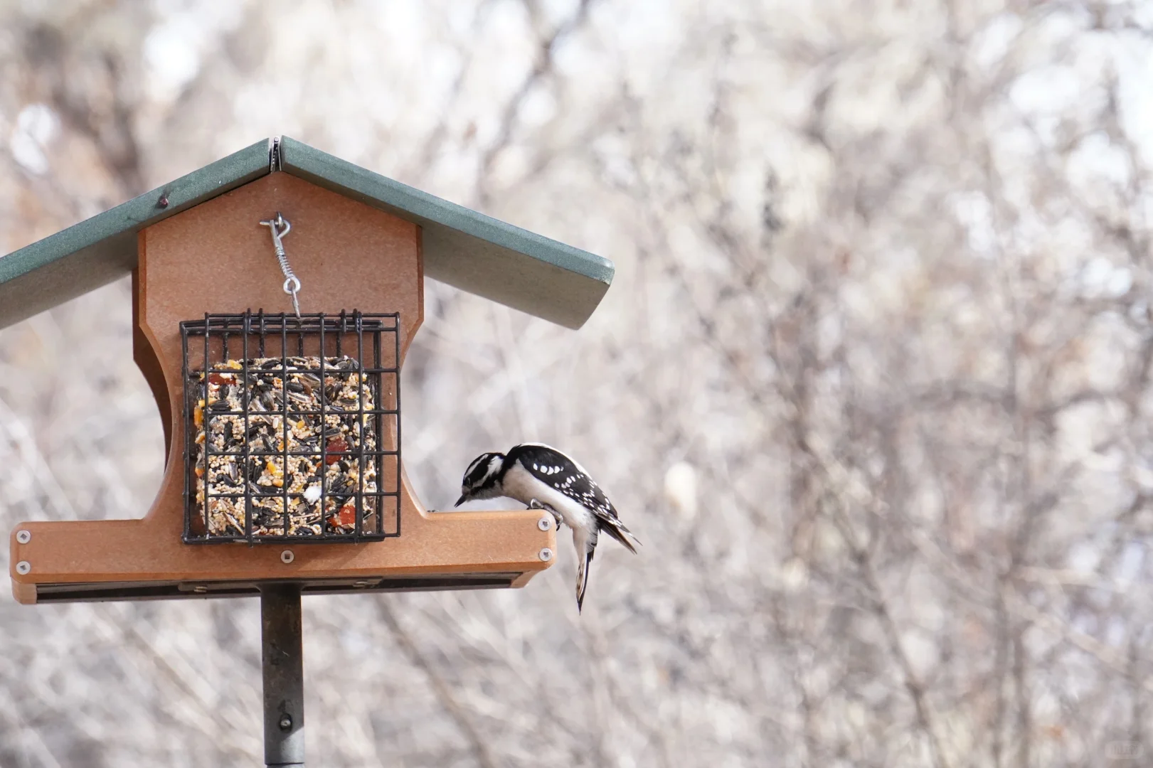 Albuquerque – Rio Grande State Park