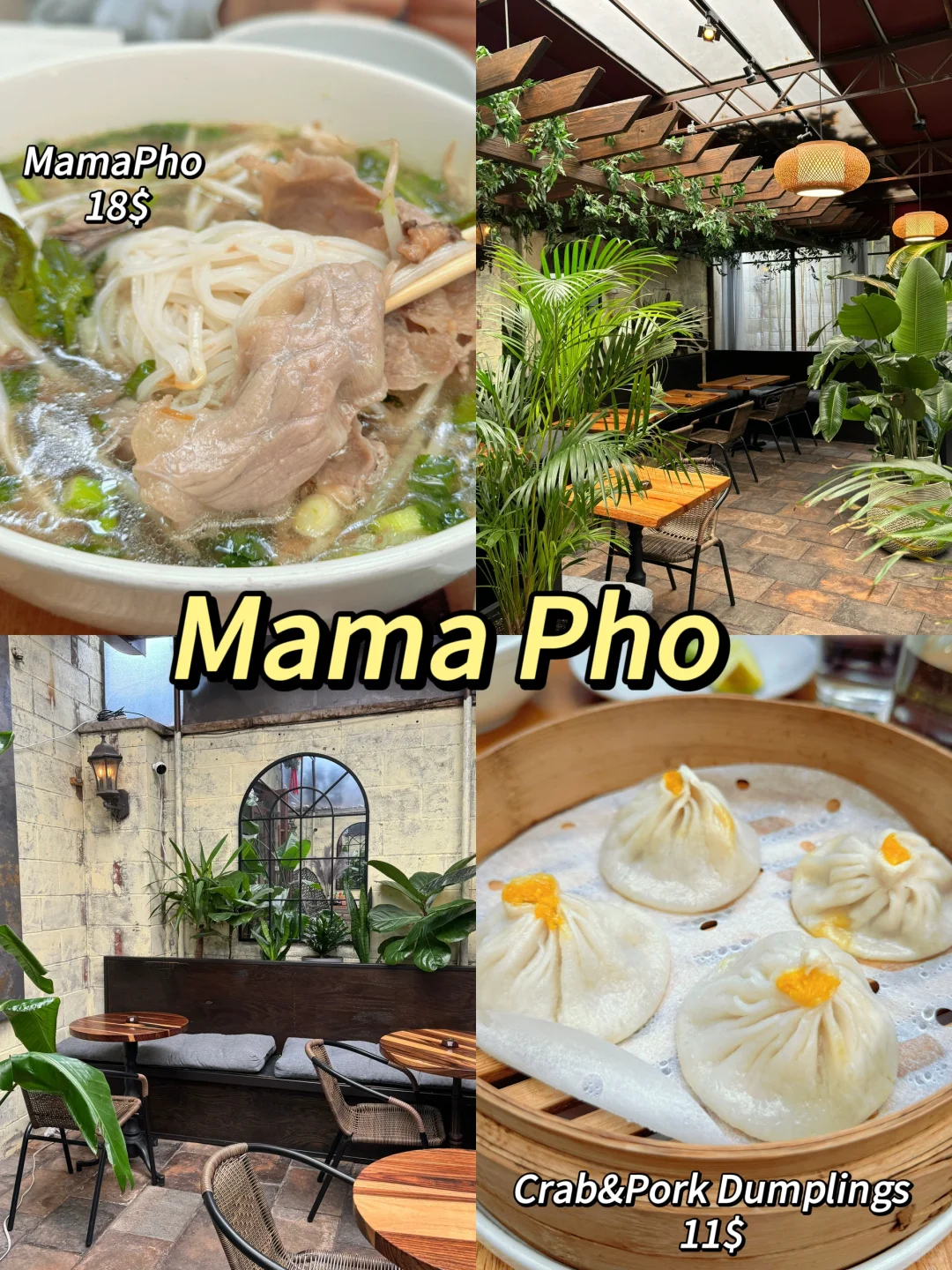 New York | 🍜 Hurry to this Vietnamese pho spot in Brooklyn!!