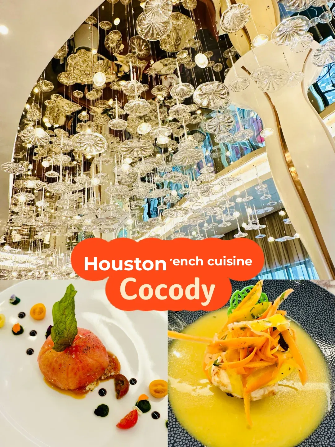 Houston’s Most Instagram-Worthy🔥 French Restaurant Recommendation: Cocody