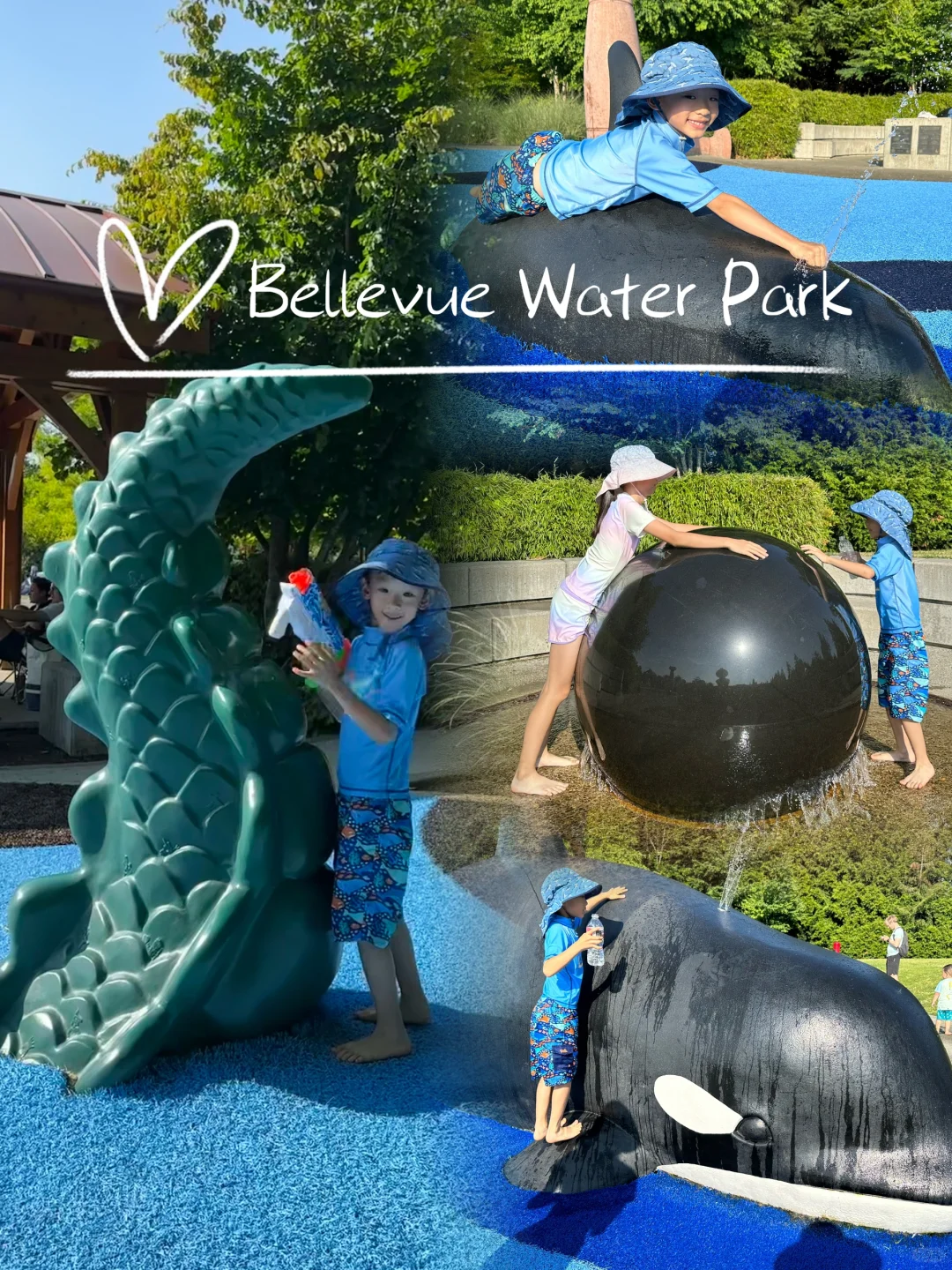 Seattle Area Water Park Guide ⛲️