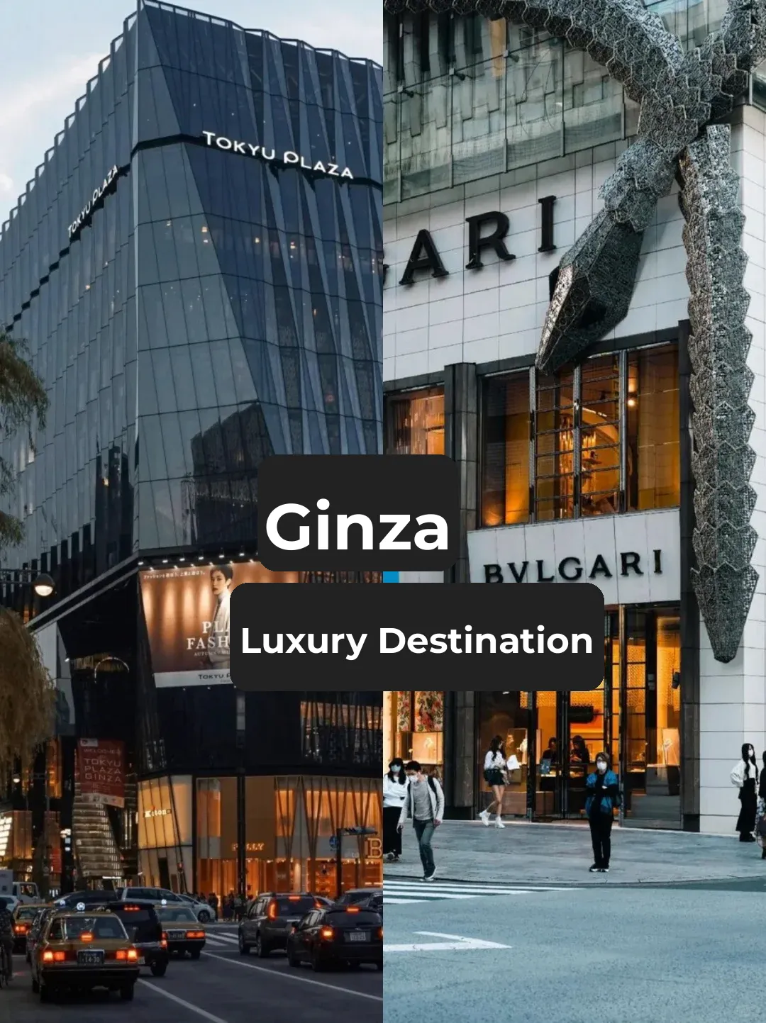 The long-awaited Tokyo 🇯🇵 shopping guide is finally here!