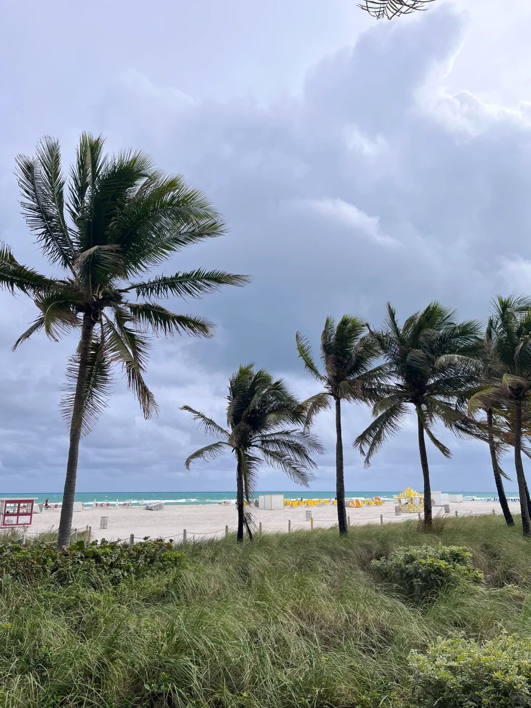 Christmas in Miami 🎄 Escaping Toronto's Cold... Almost Failed?