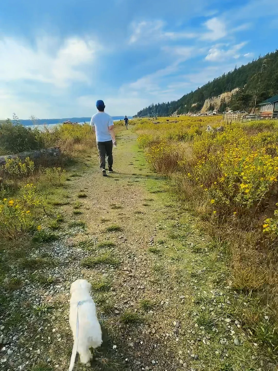 Around Seattle 🌼 Hidden Gem Island: Camano Island 🌊