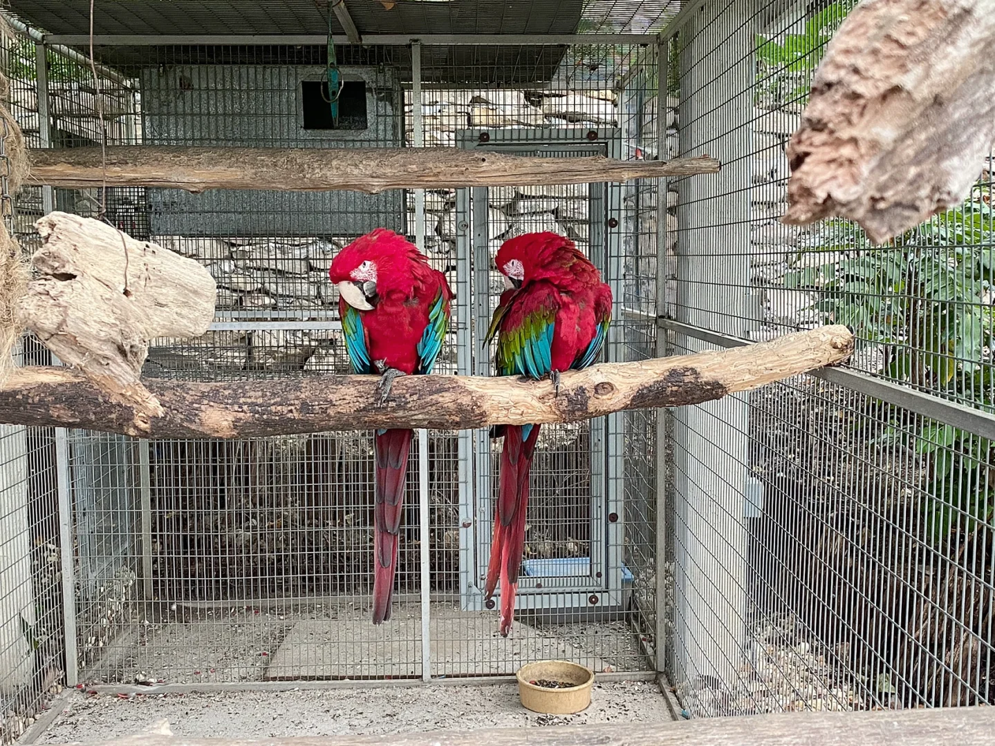 Parrot Mountain & Garden