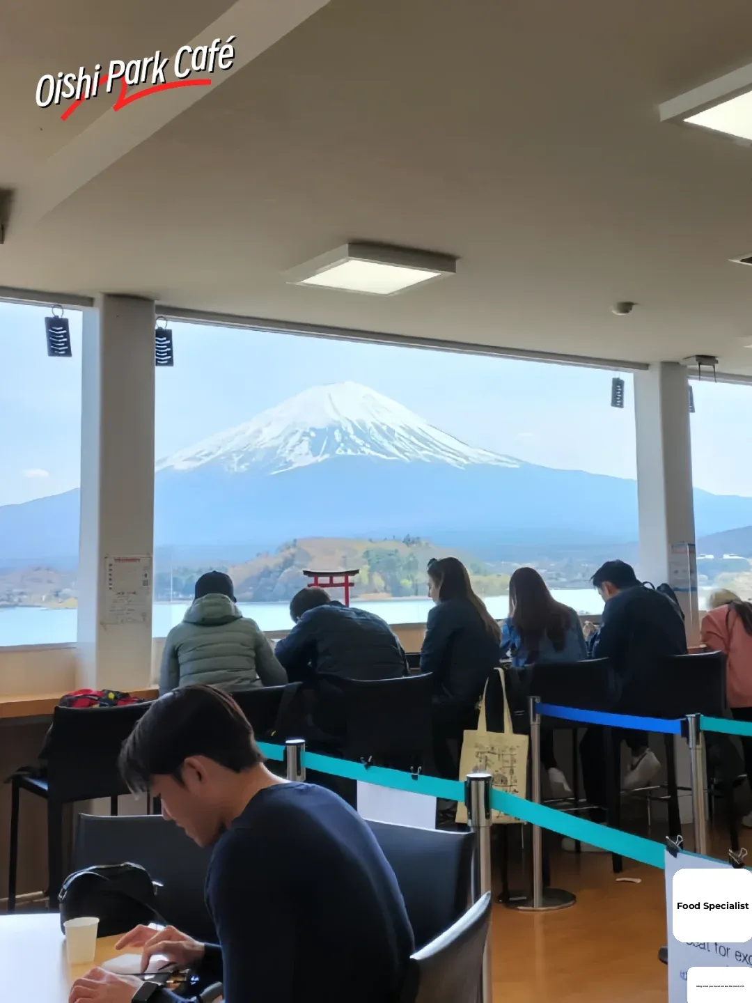 Finally Complete! 11 Must-Visit Fuji View Cafés & Restaurants in Japan