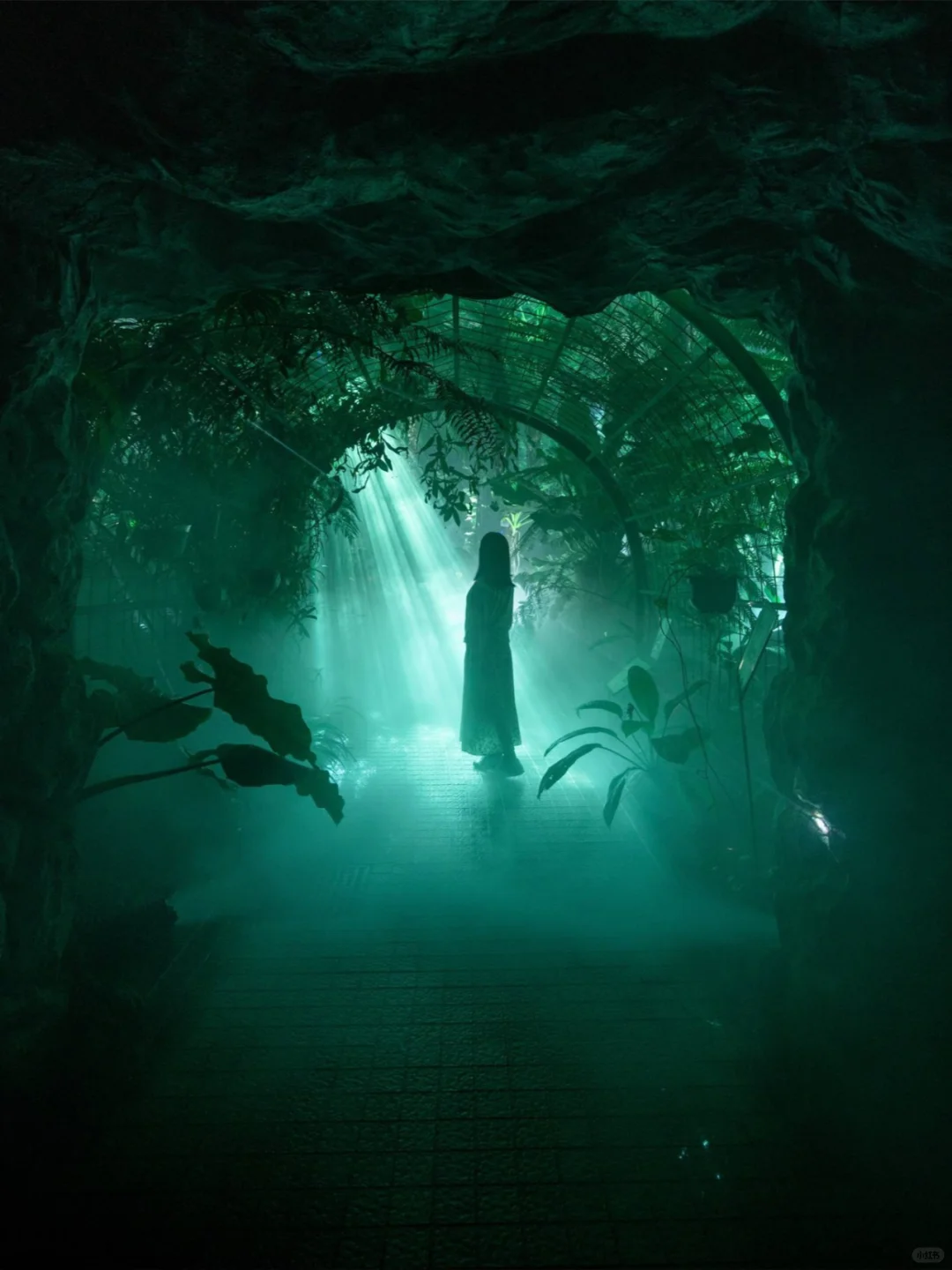 Location: Kyoto!! The most anticipated immersive exhibition of the month has arrived!