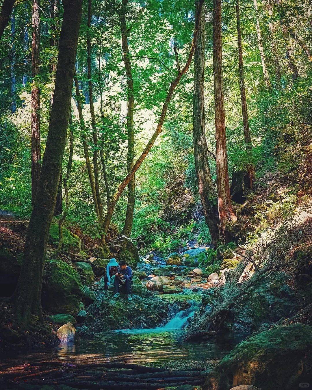 Just 15 mins from Nanwan, Summer Creek Trail