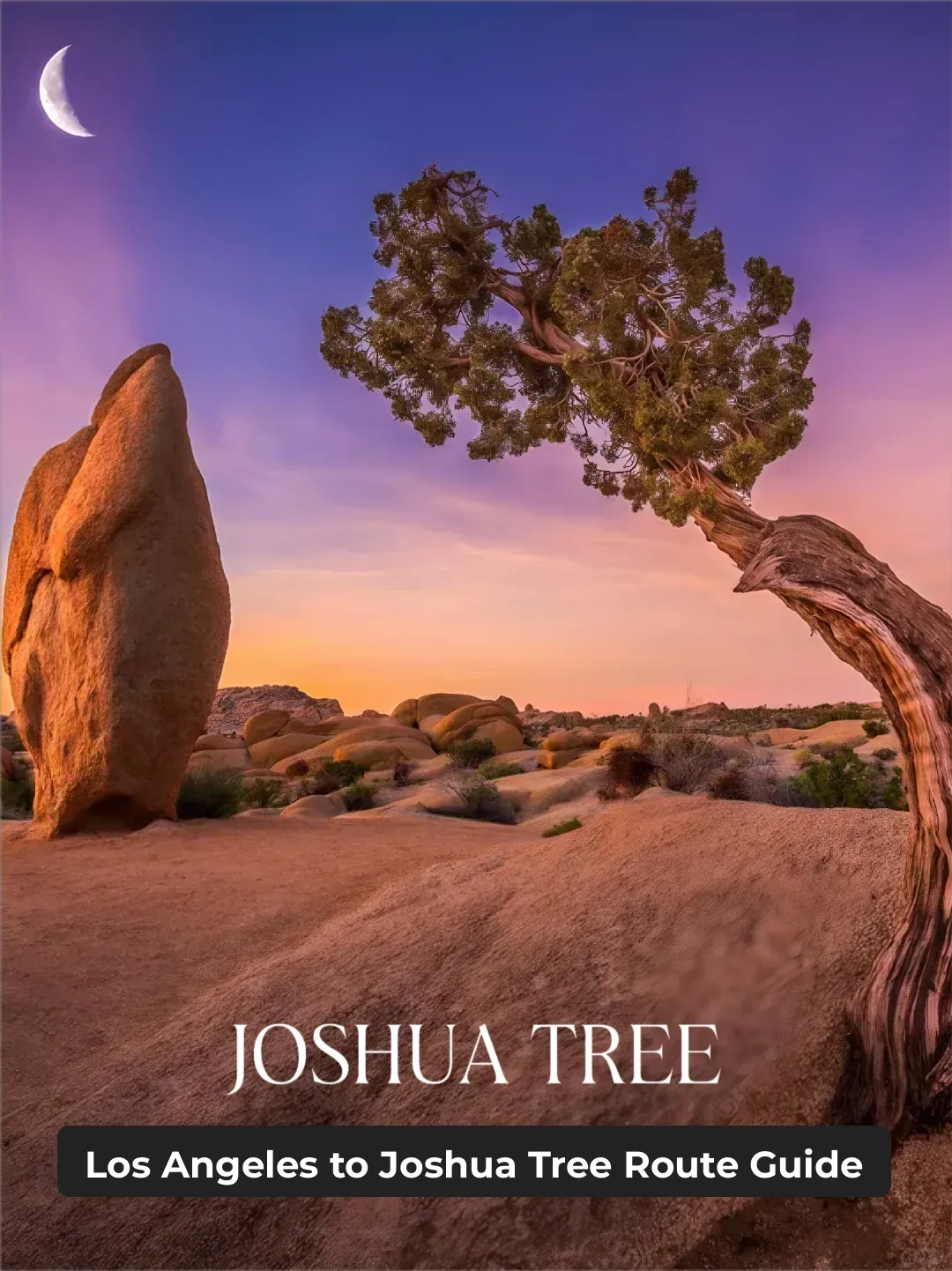 LA Getaway 😍 Joshua Tree Day Trip Itinerary & Guide