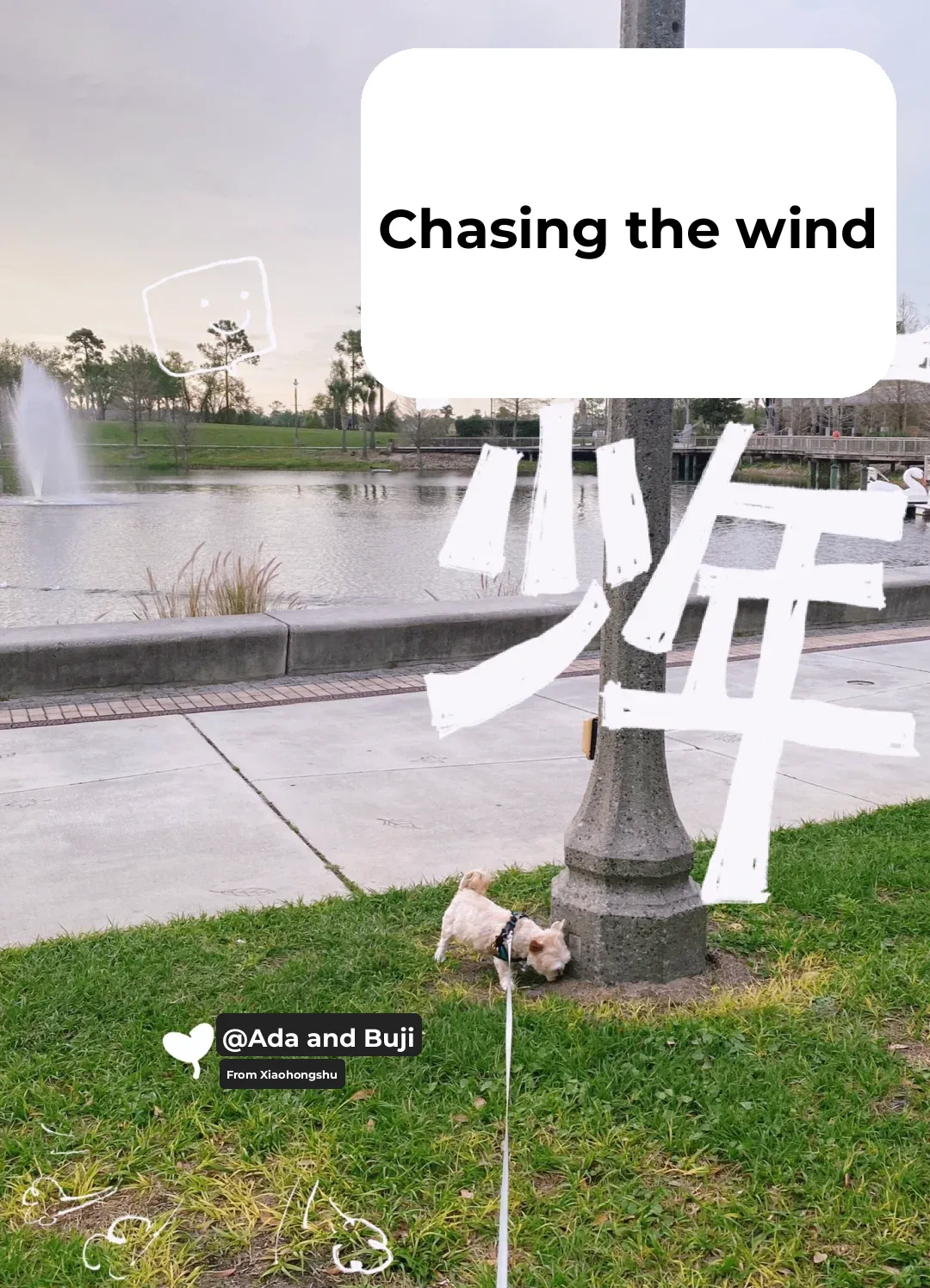 Best Spots Around Orlando for Dog Walking! Complete with Food, Drinks, and Fun