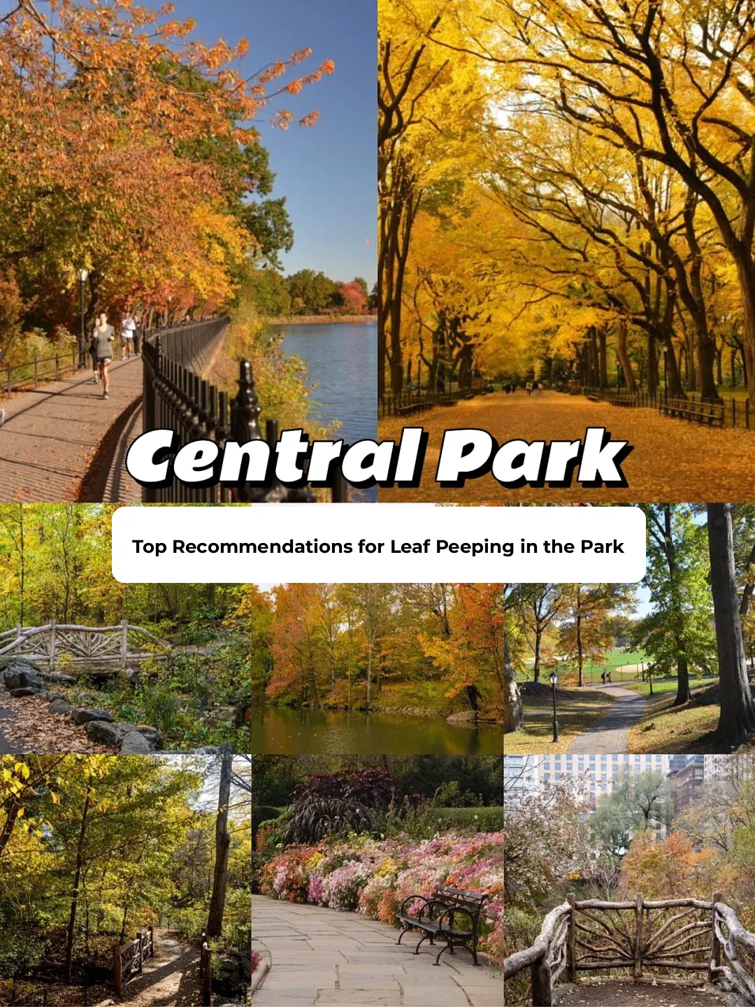 8 Must-Visit Spots for Leaf Peeping in NYC's Central Park 🍁