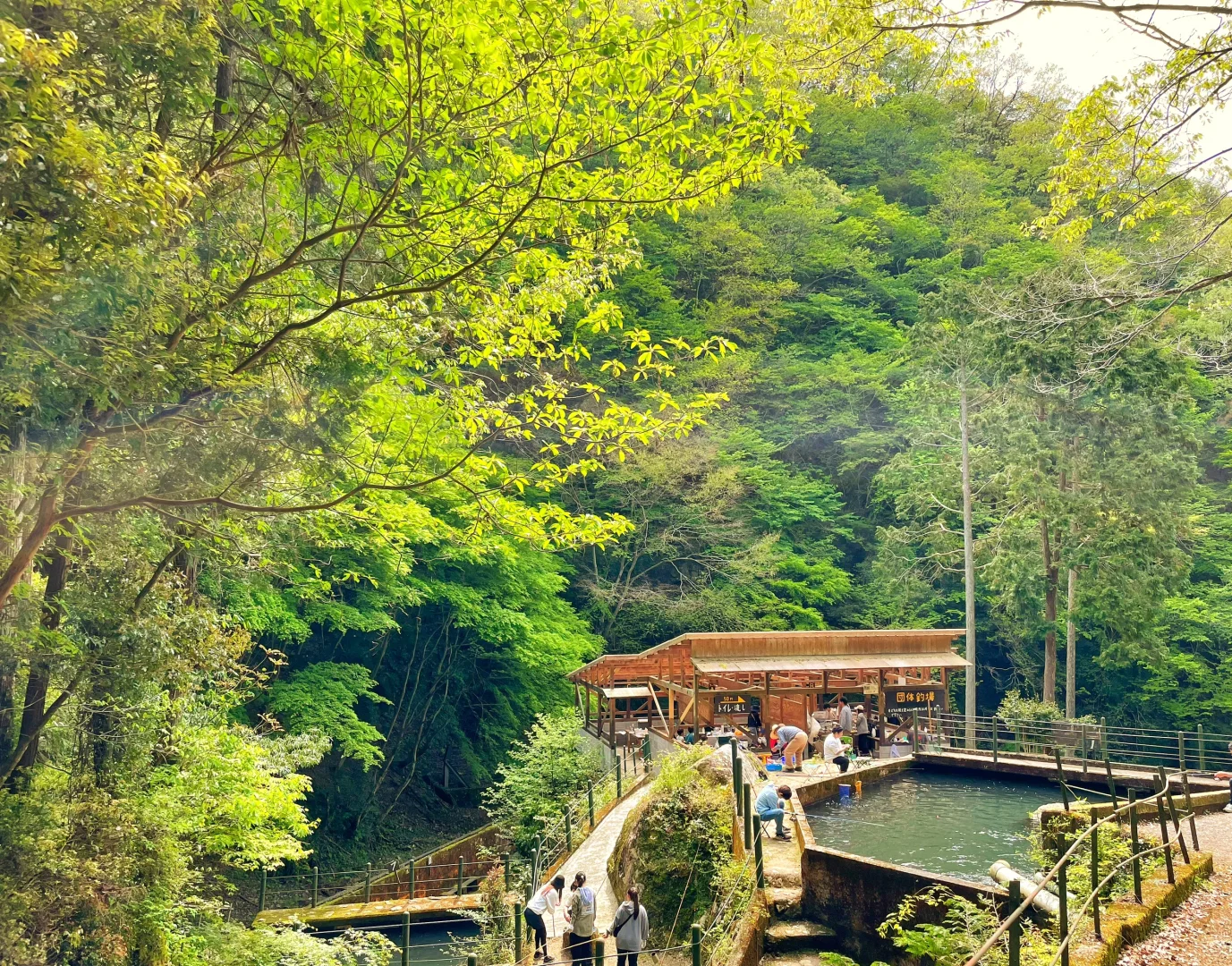 Osaka Area/This Is My Top Pick