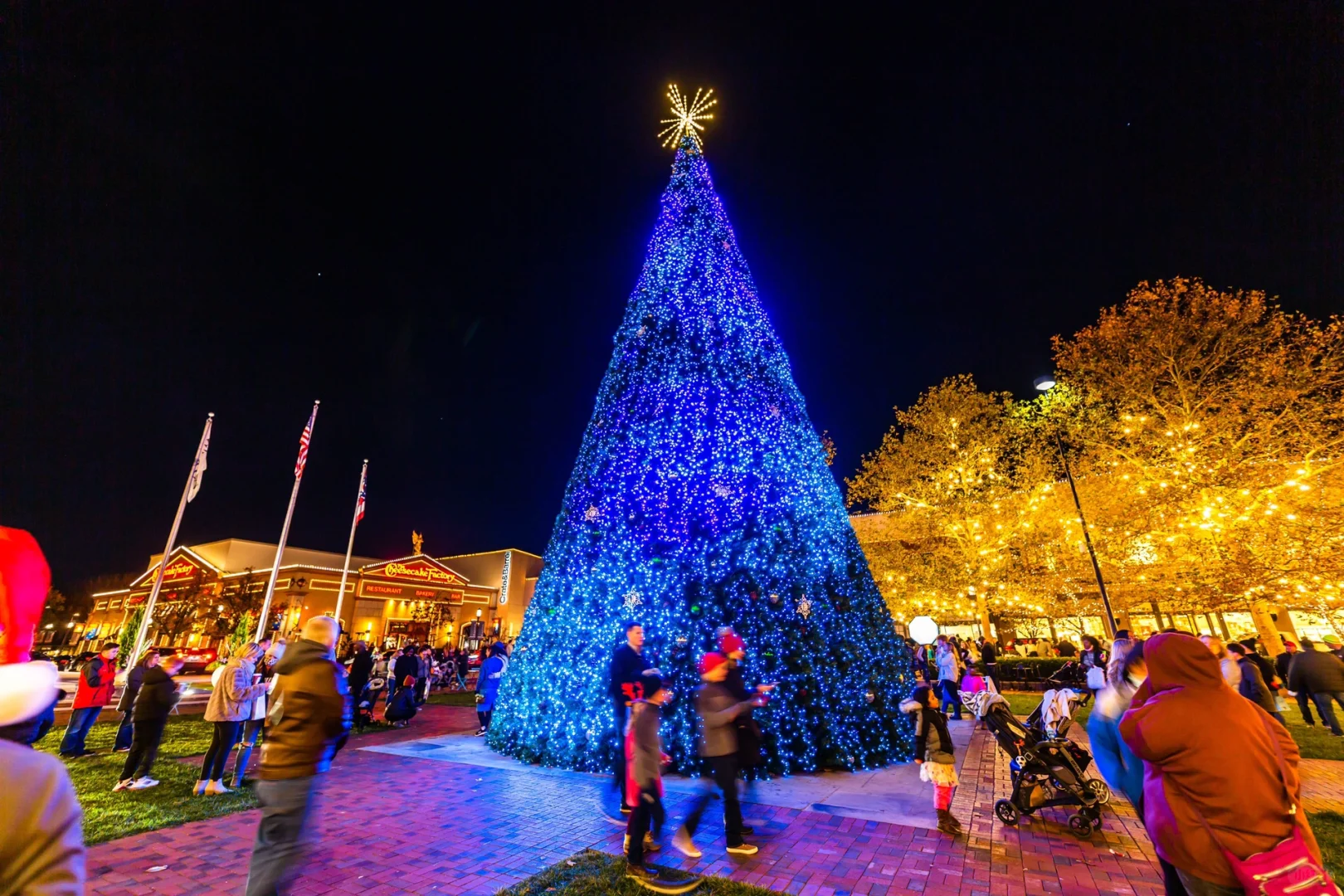 Boston 2023 Christmas Tree Lighting Ceremony Guide 🎄🏮