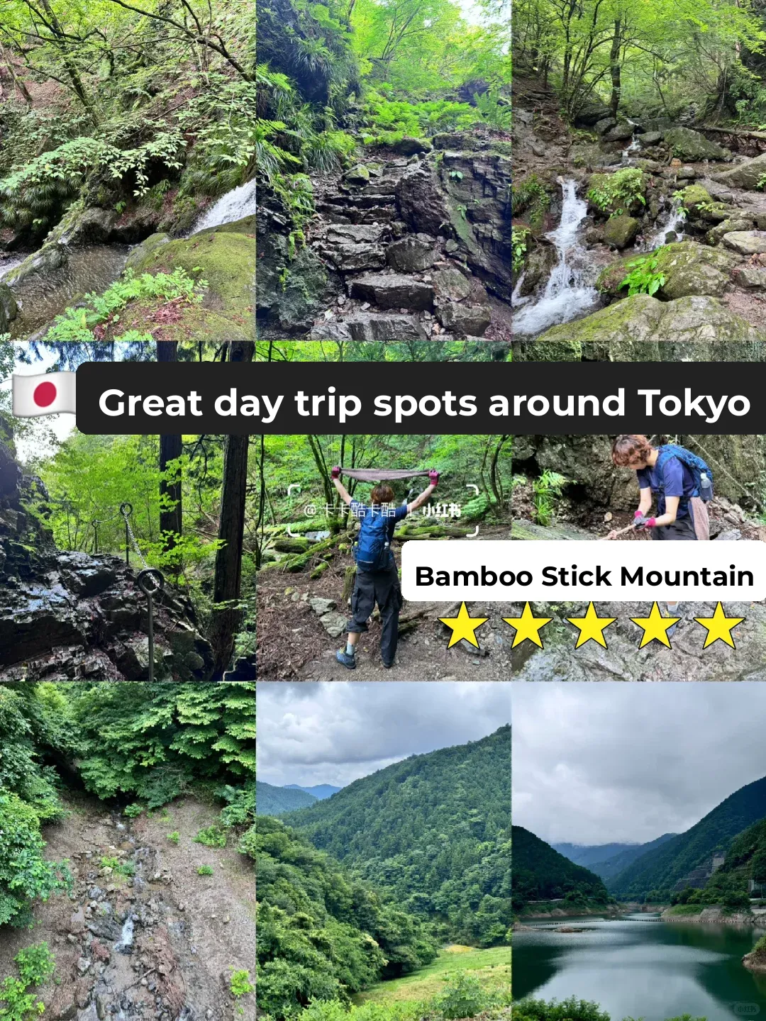 🇯🇵 Nature's Oxygen Bar! Must-Know Tips Before You Go!!