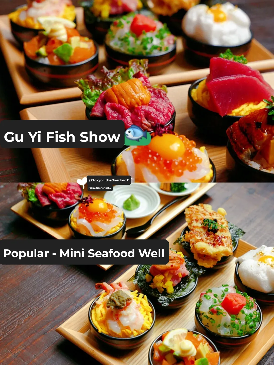 Tokyo Must-Try / Shibuya Delicacies - Super Popular Mini Seafood Donburi 💯