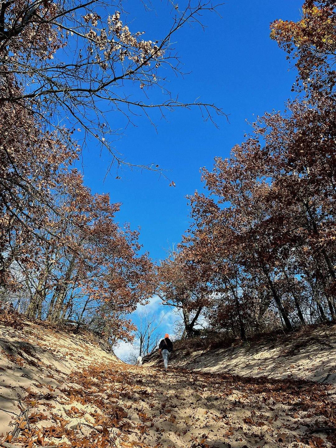 Indiana Dunes National Park | Ultimate One-Day Travel Guide