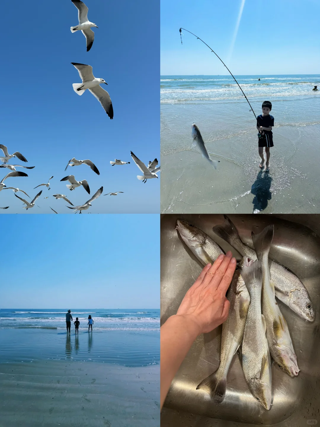 The Best Beaches in Houston Are Right Here 🏖️