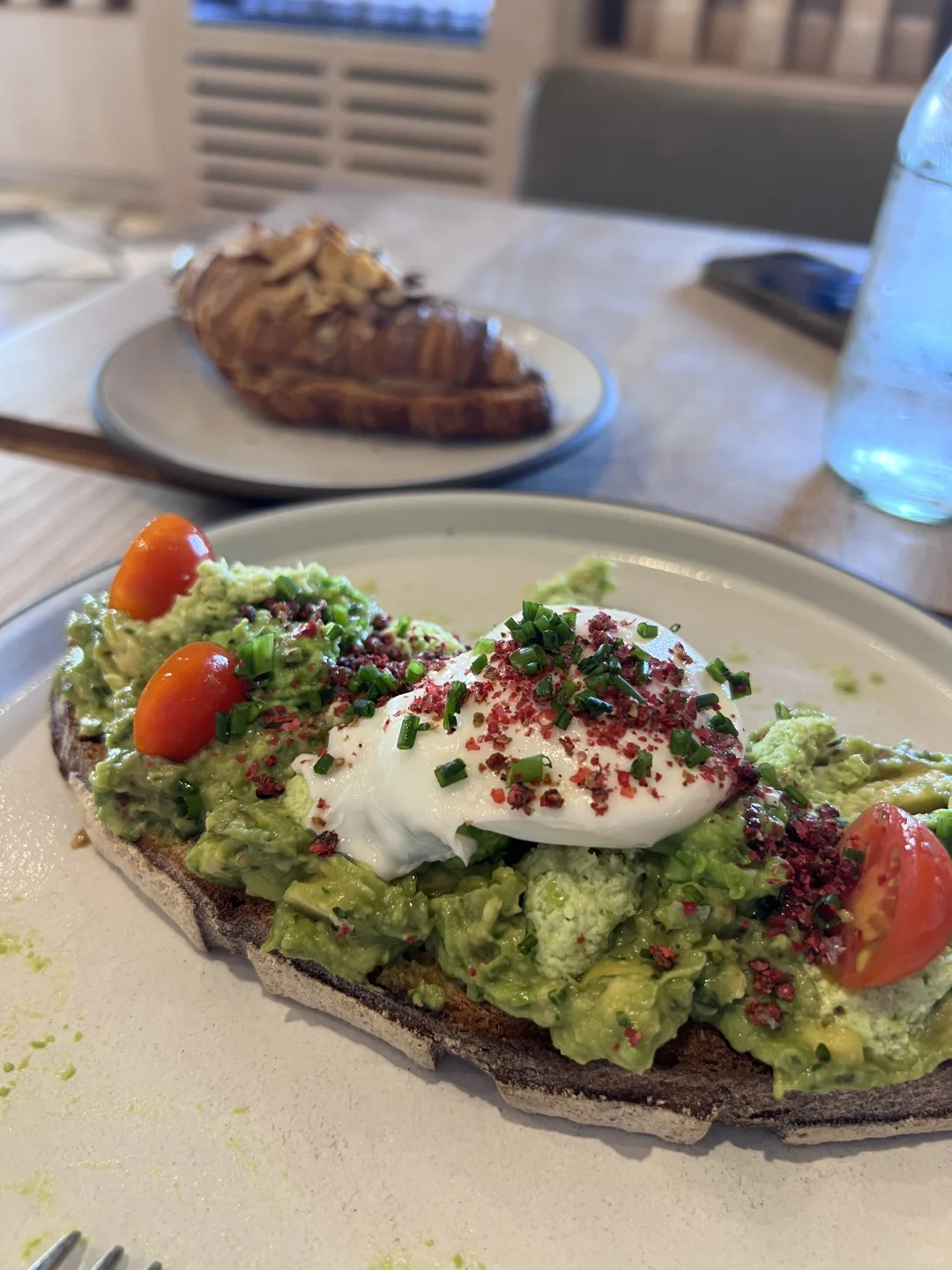 OC Brunch | 1/100 First One Gets This 🥑