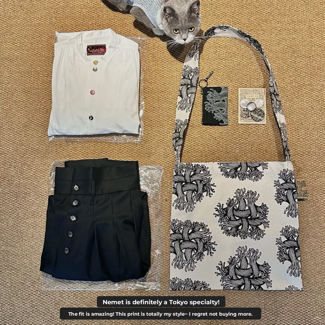 6-Day Shopping Spree in Japan: A Citywalk Experience