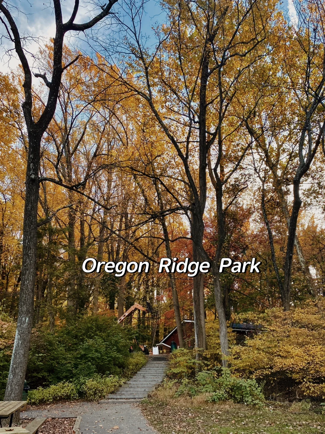 DMV Hiking | Baltimore’s Hidden Gem Park | Trail Adventure