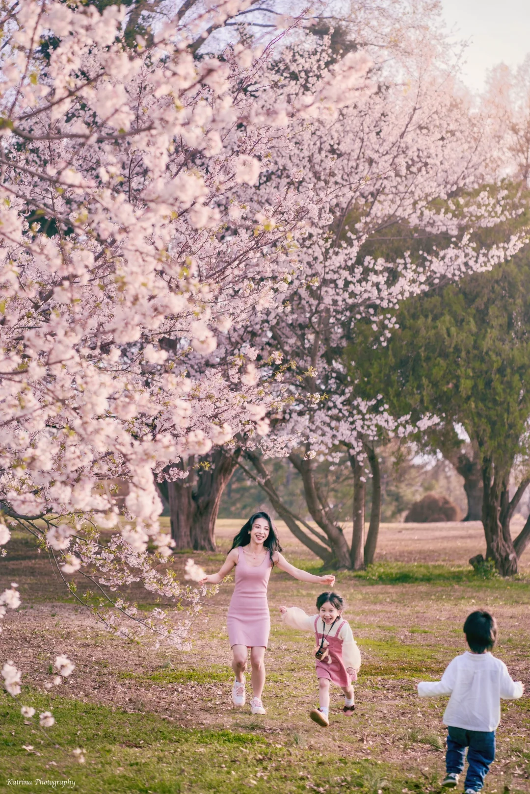 Memphis Botanic Garden Cherry Blossom 🌸 Mini Session