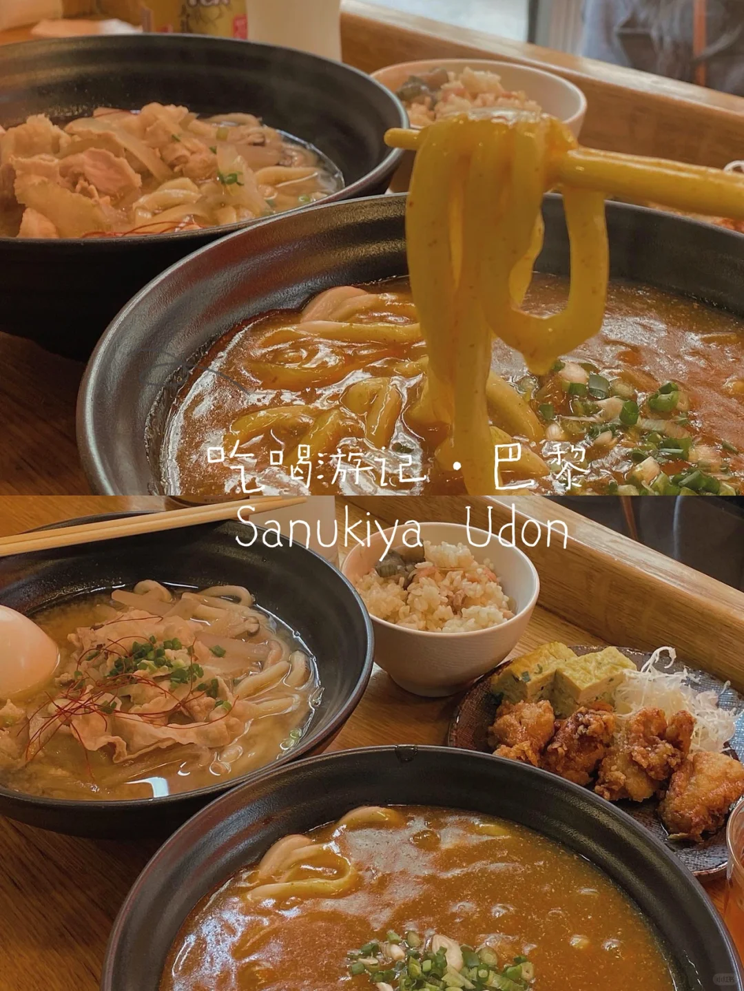 Paris Travelogue | The Ultimate Masterpiece: Sanukiya Curry Udon