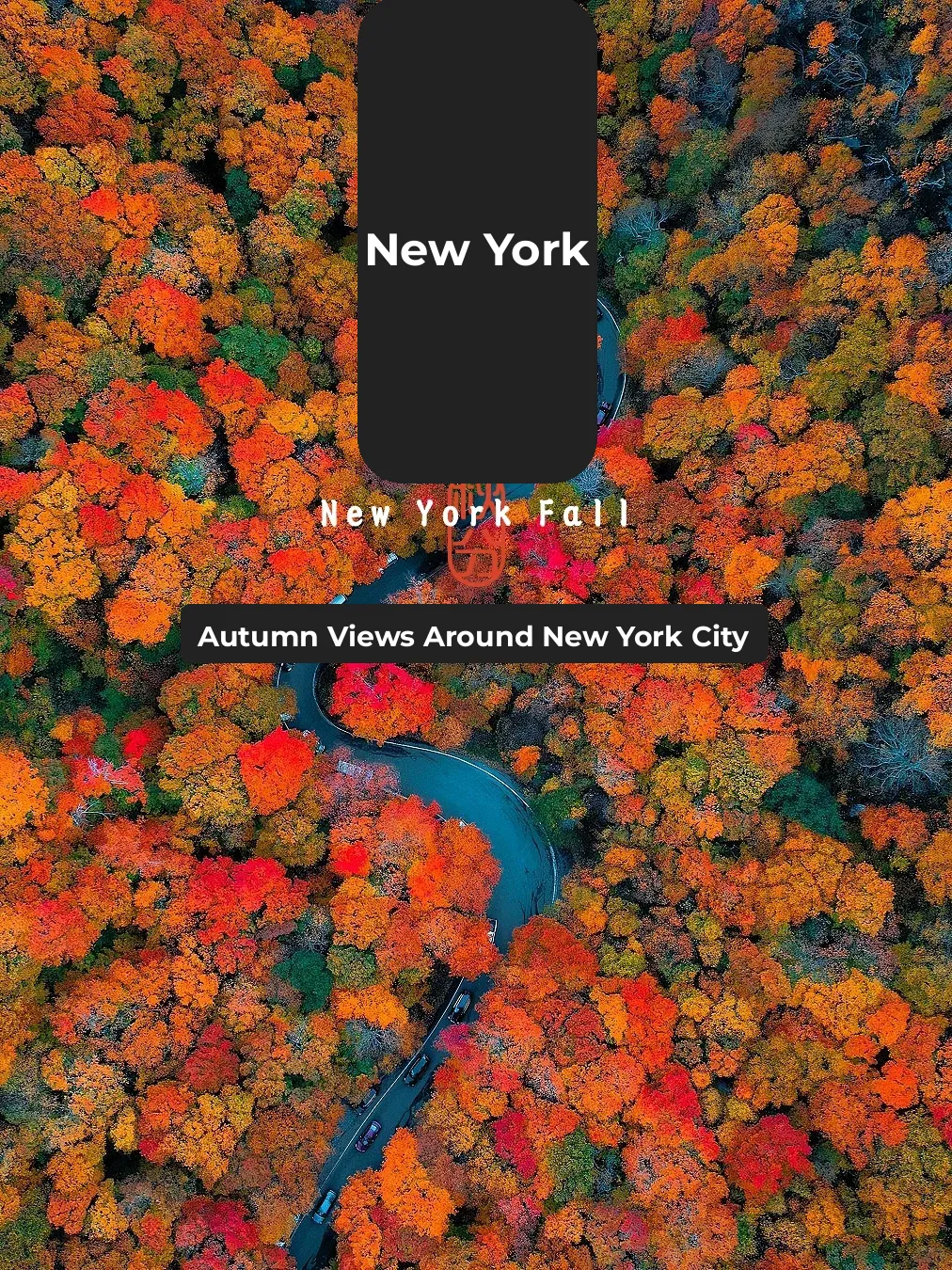 NY Weekend Getaways: 7 Top Spots in NYC & Surroundings for Autumn Foliage 🍁