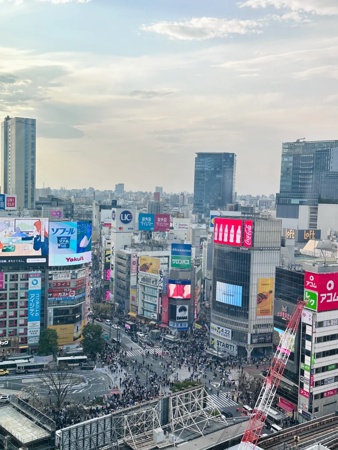 All About the Free Observation Deck at Shibuya Sky in Tokyo
