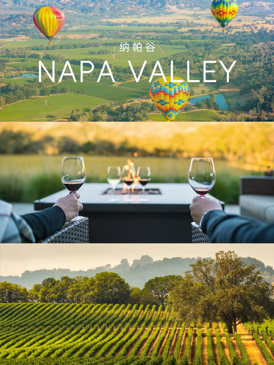 Napa Valley Day Trip Guide | Wine Country During Cabernet Season