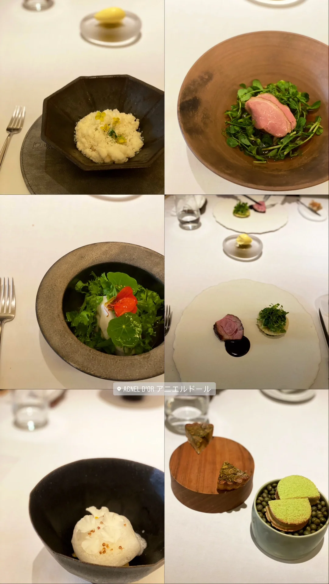 Osaka One-Star French Cuisine | agnel d'or