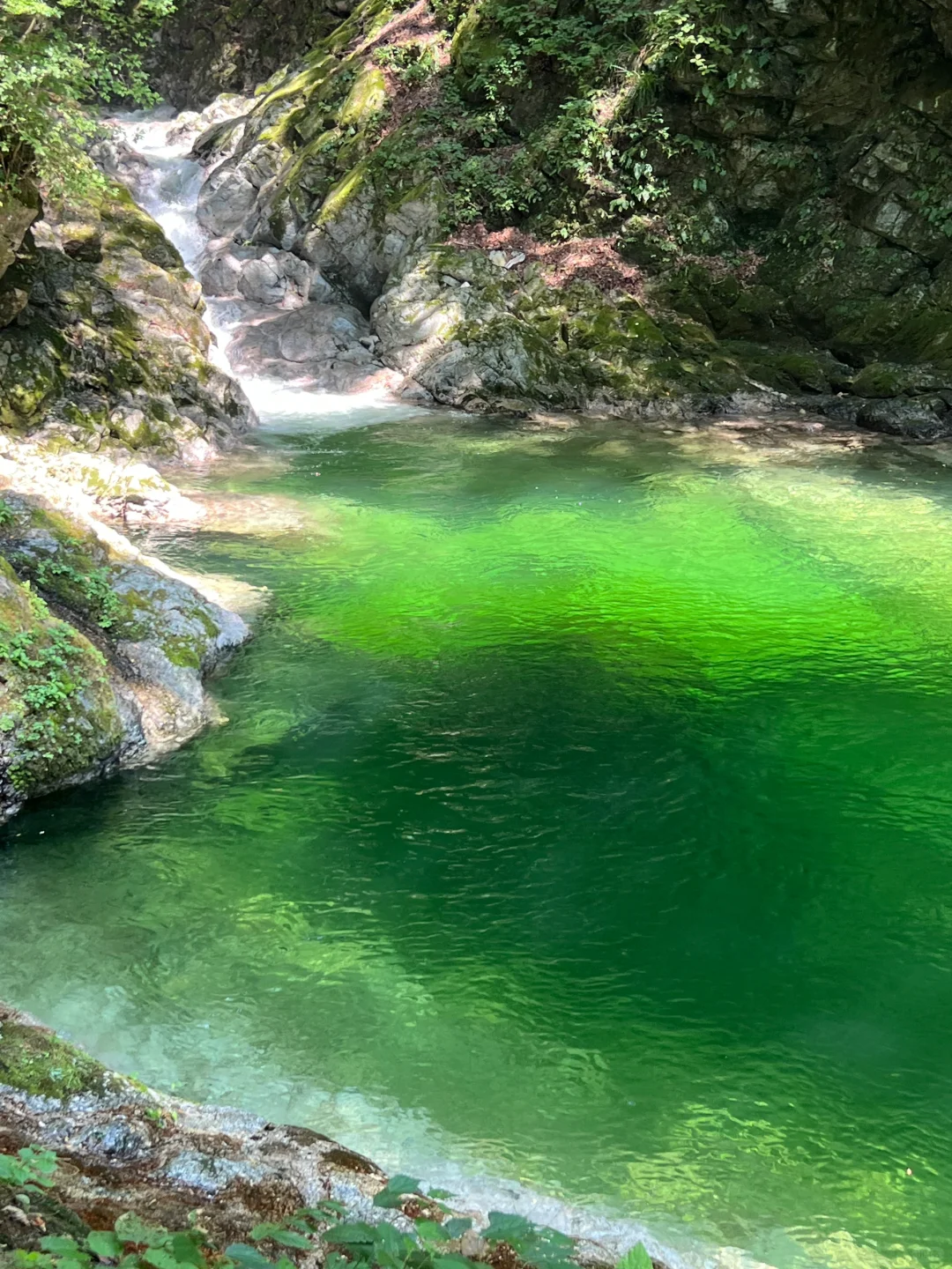 🇯🇵 Oshirakawa Ravine | A Cool Escape Just 3 Hours from Tokyo