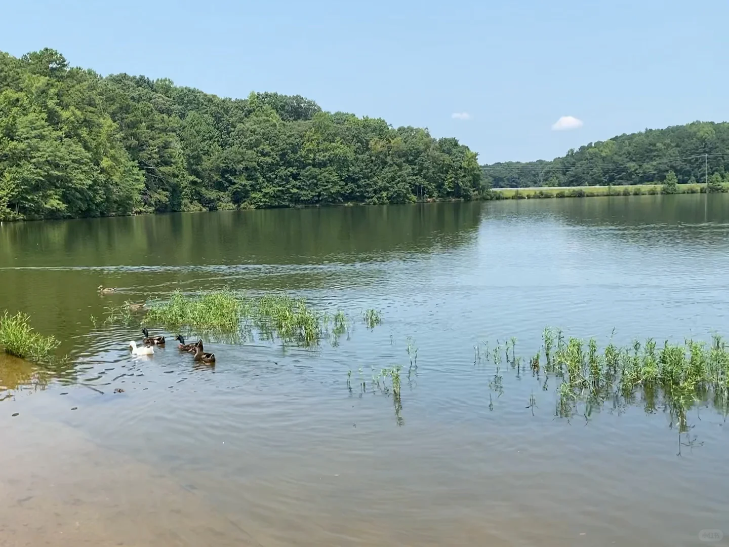 "First Outdoor Adventure After Arriving in Atlanta"