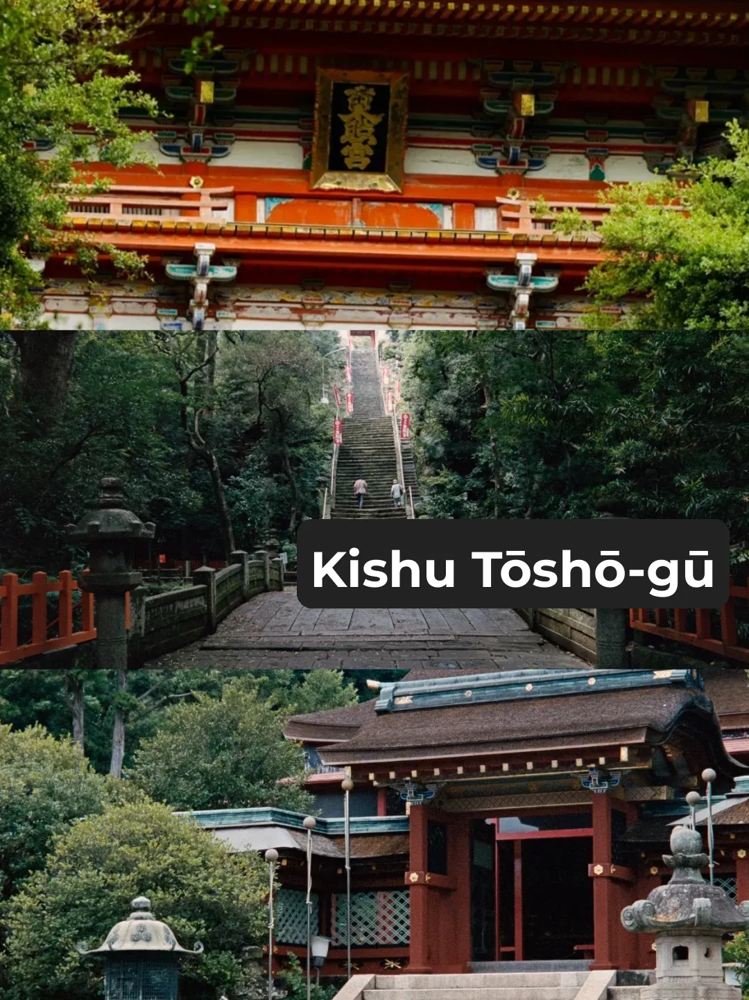 A Day of Hidden Gems & City Exploration near Osaka: Wakayama Edition