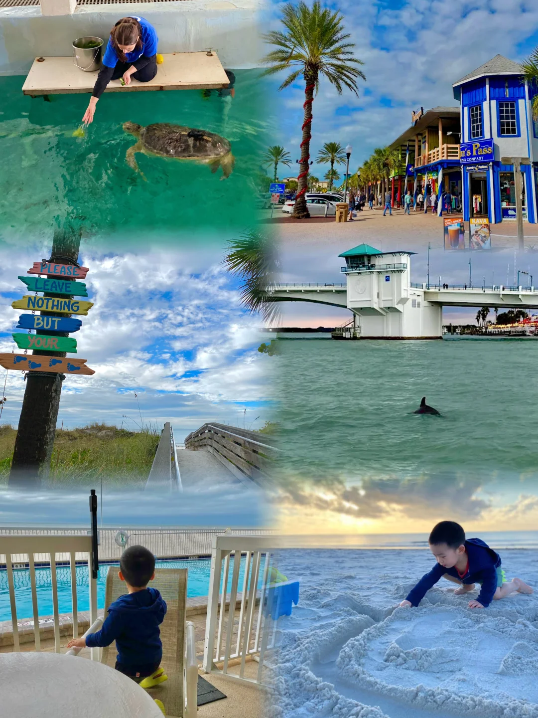 Great Spots for a Family Day Out by the Beach in Tampa