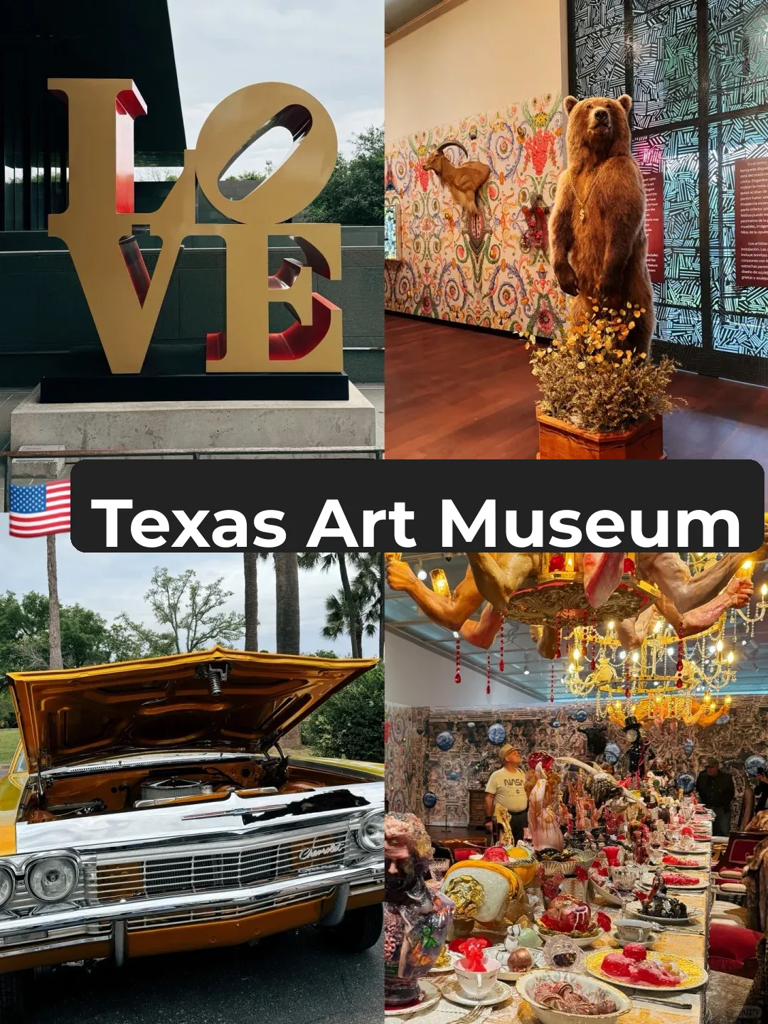 Life in Texas, USA | San Antonio Museum of Art