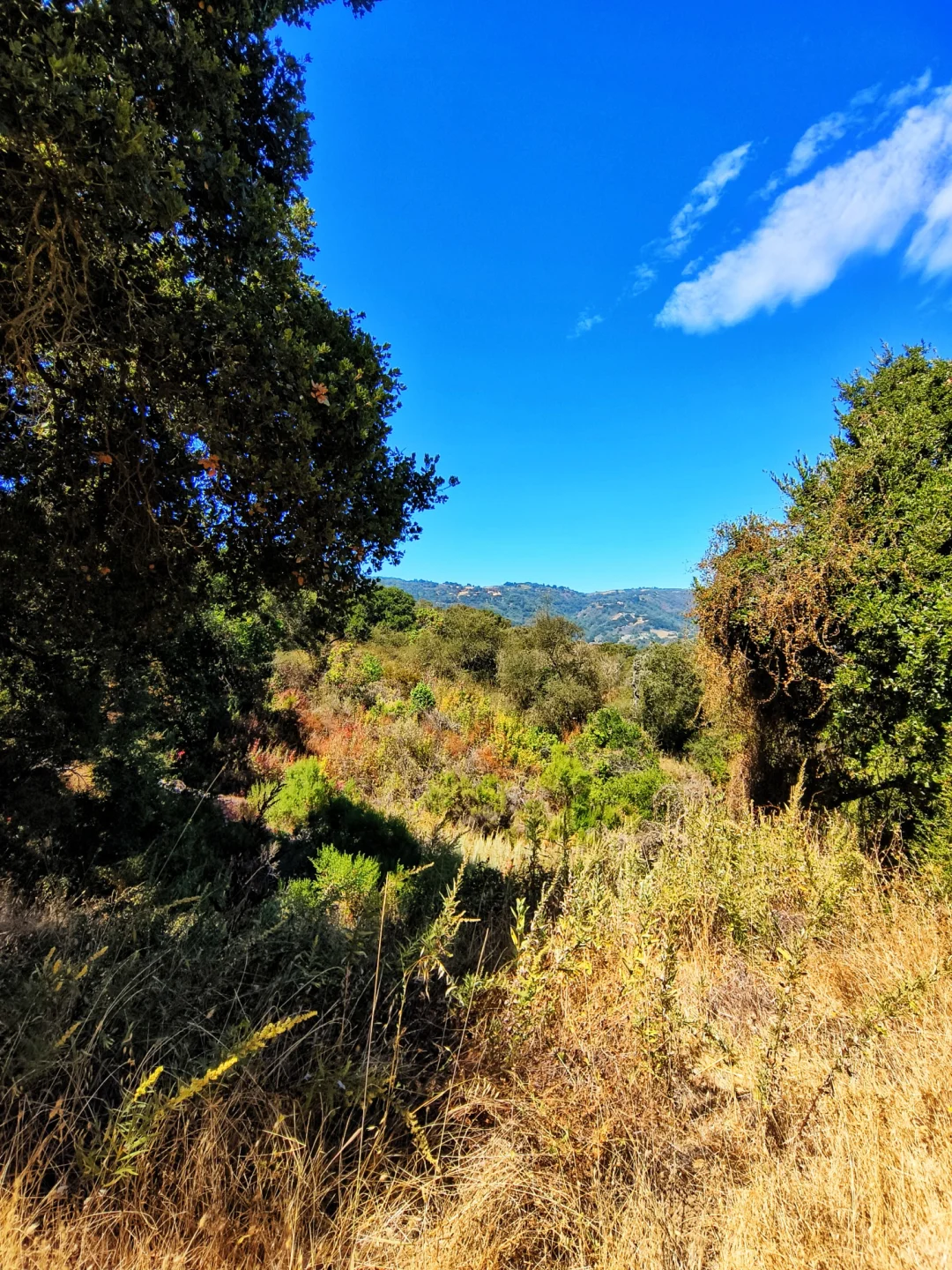 Hiking Continuation at Stevens Creek Water Park in Silicon Valley, San Francisco Bay Area, California
