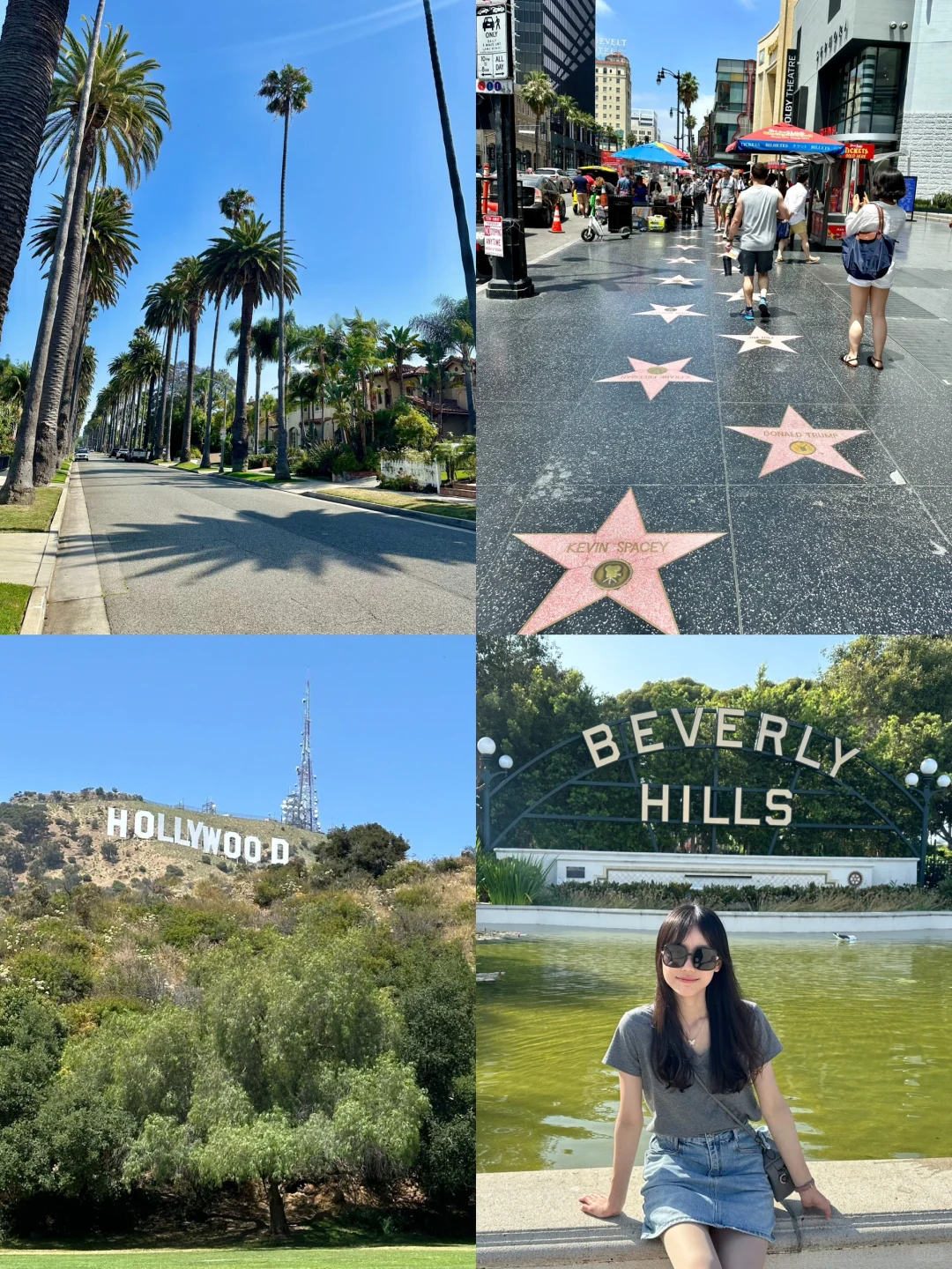 LA Vibes 🎬☀️🌴