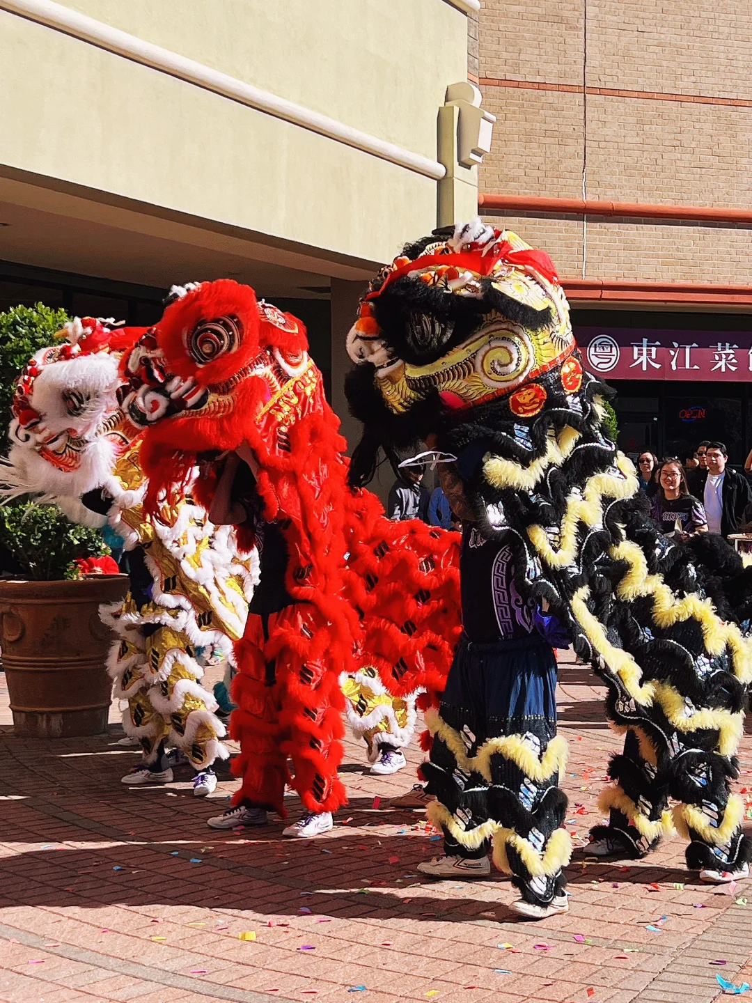 Ding Tea Bubble Tea Shop Opens Today at Dynasty Plaza