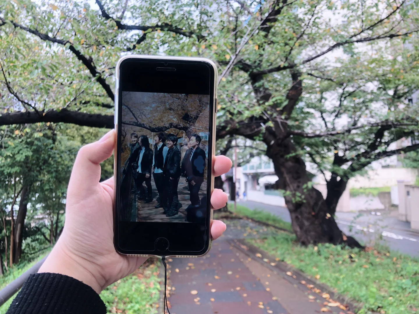 🥕 Tokyo Mayday Soulful Stroll