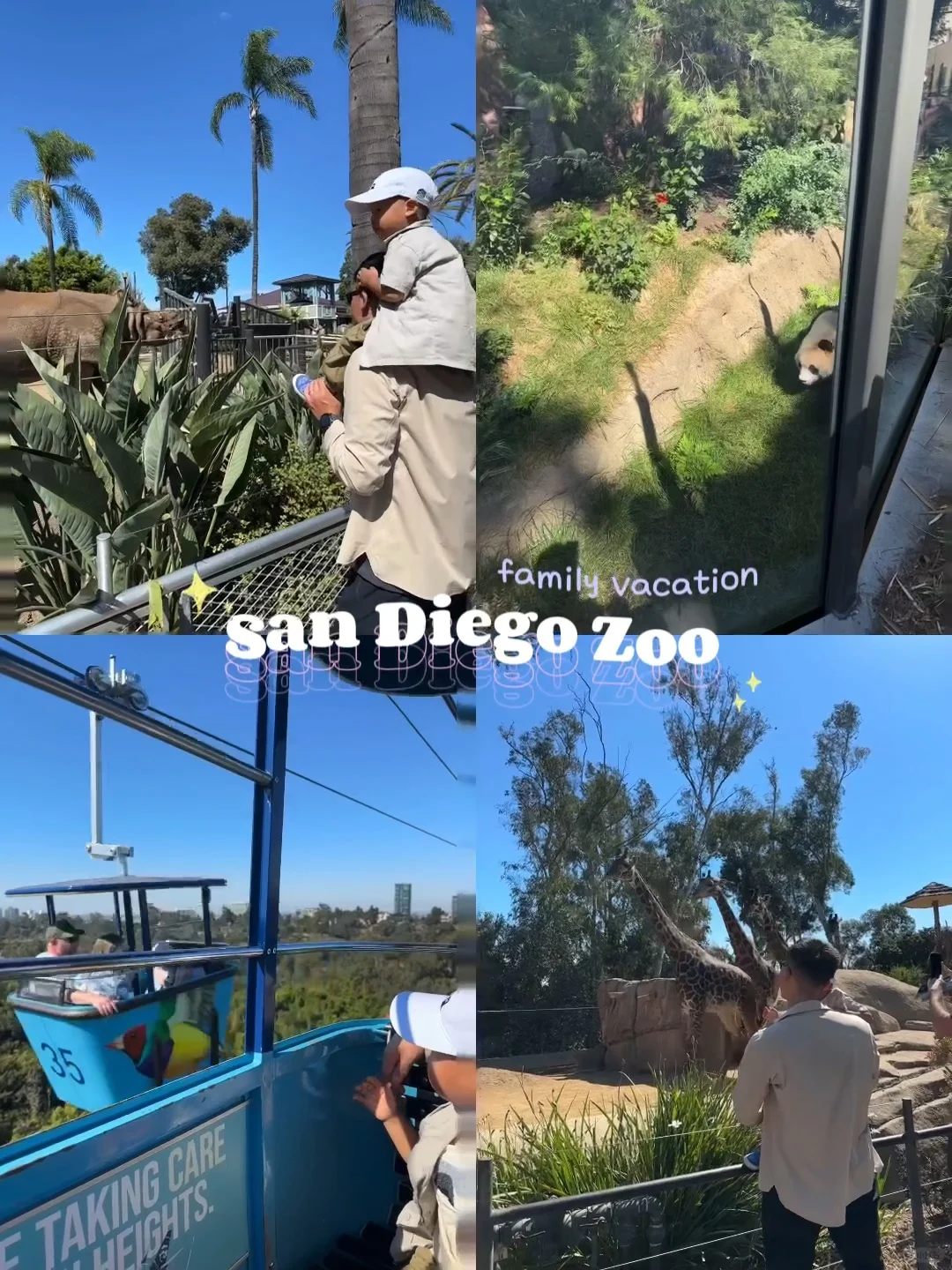 San Diego Zoo🐼 Ultra-Smooth One-Day Itinerary for October