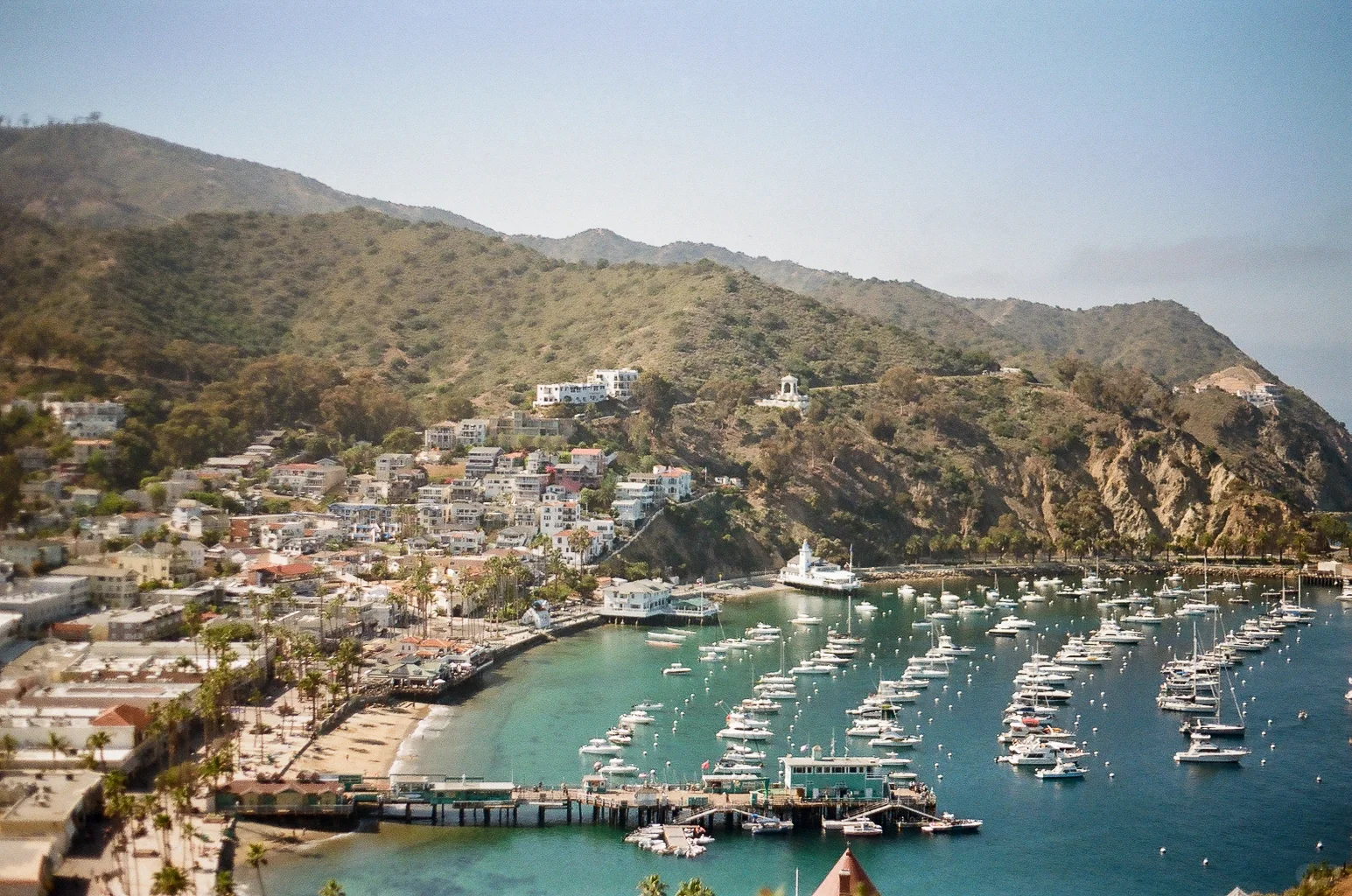 Film Roll 🎞️ | Catalina Island Getaway: A Two-Day Adventure