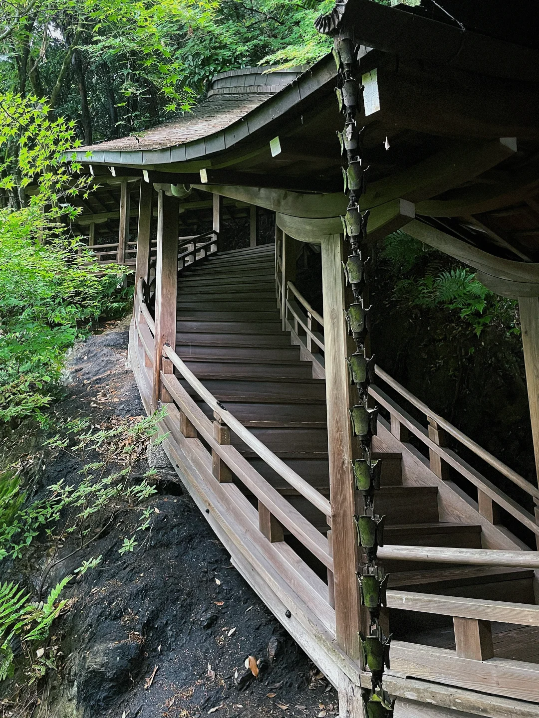 3 Days in Kyoto: Saying No to Kiyomizu-dera, Yasaka Shrine, Arashiyama, and Kamogawa