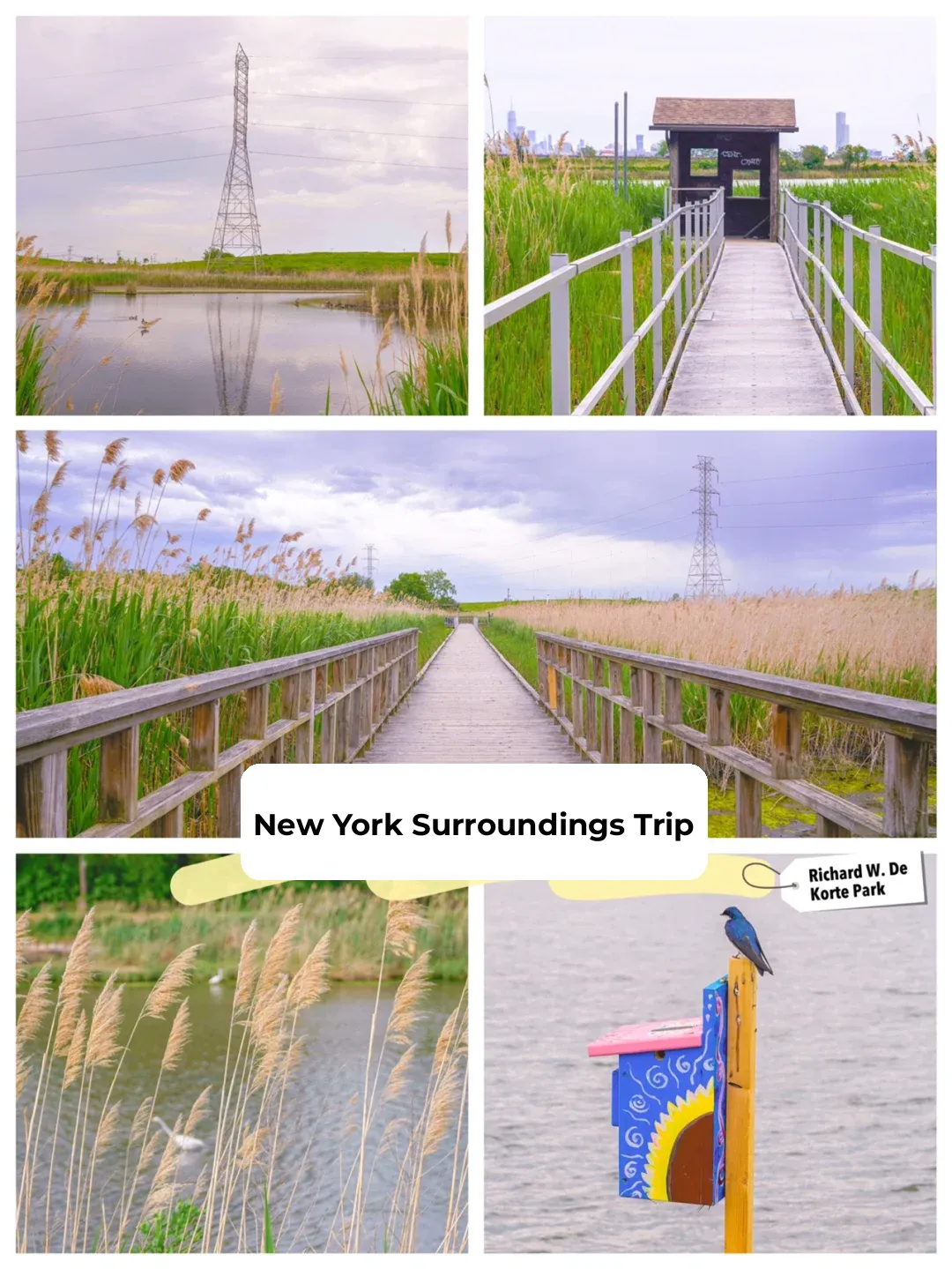 NYC Area | Free Stunning Hiking Trail in Fort Lee 🍃 Embrace Autumn Outdoors