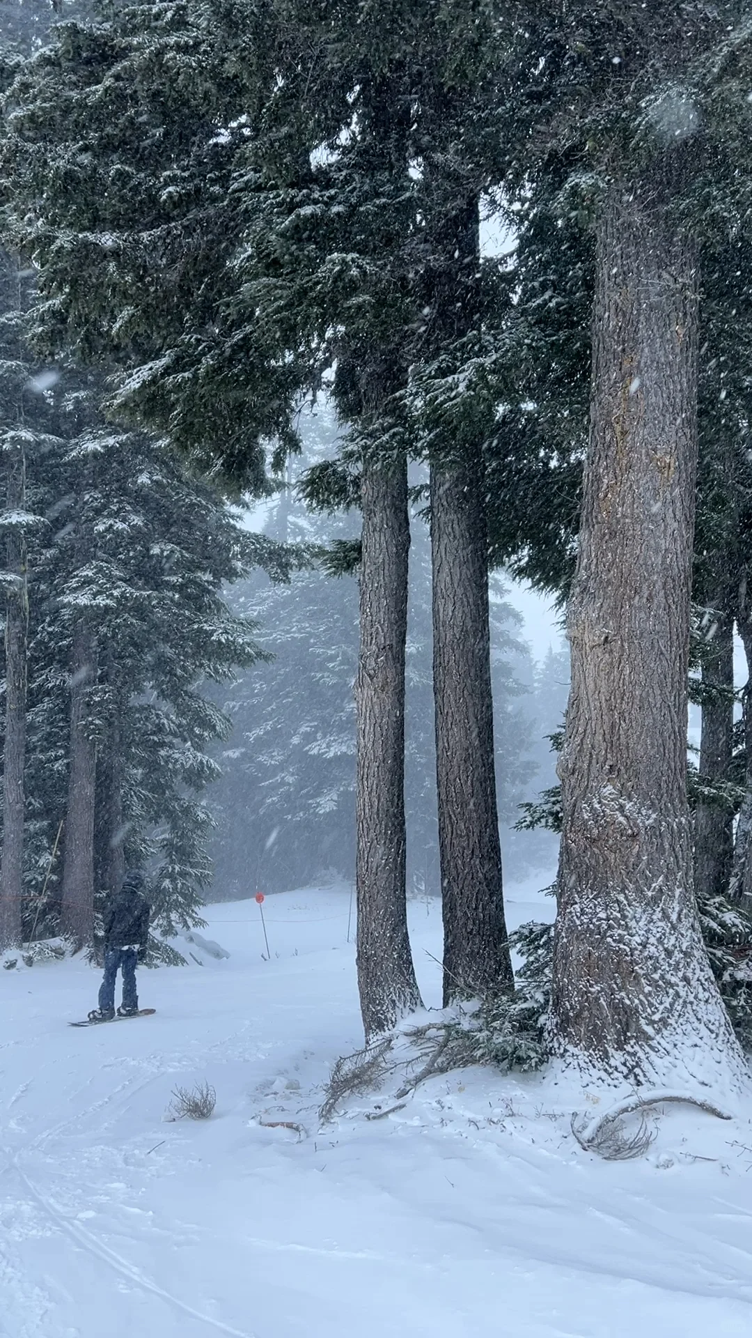 Portland Skiing | Mt. Hood Meadows